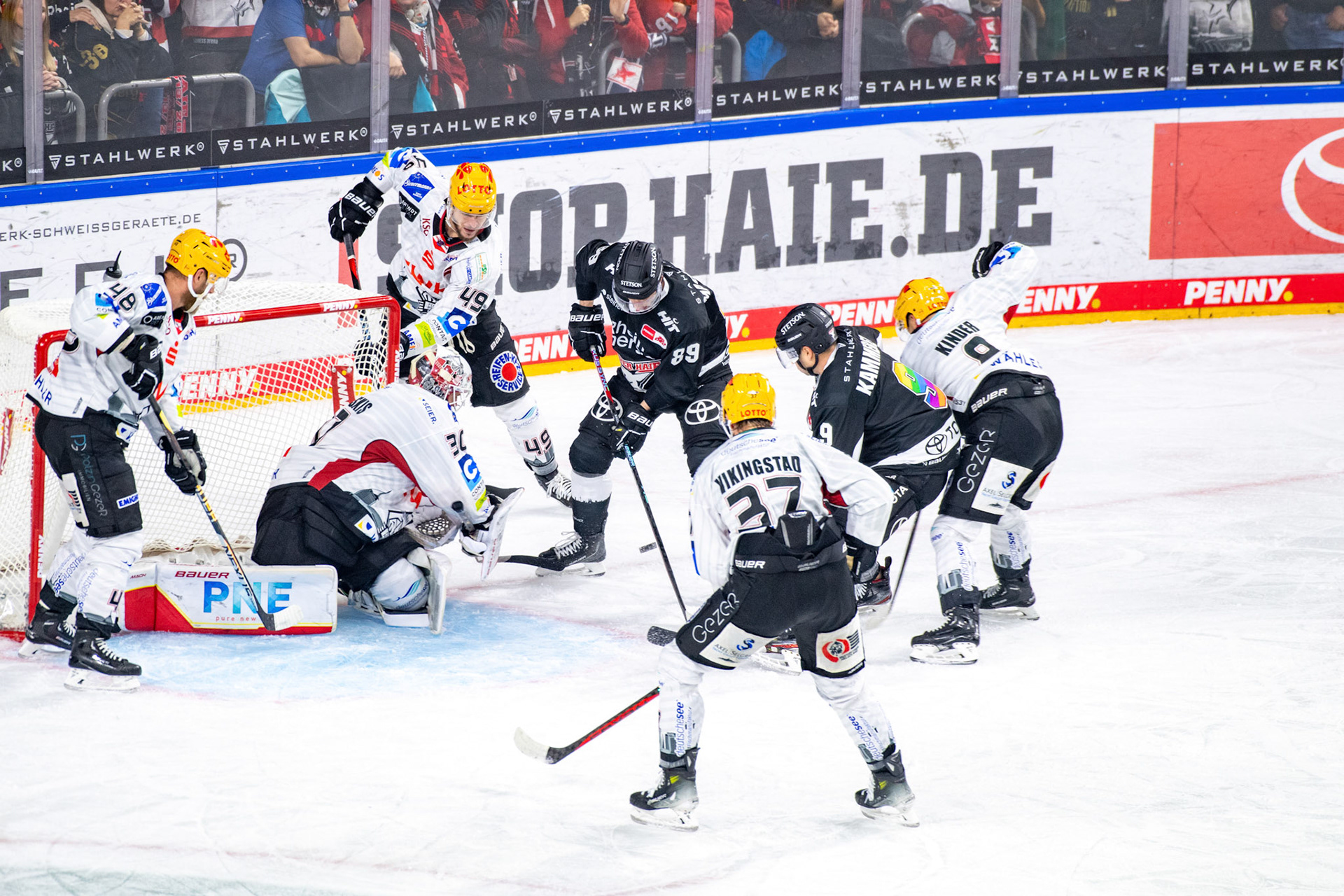 Gregor Macleod; DEL Kölner Haie - Bremerhaven Fischtown Pinguins, 01.11.2023