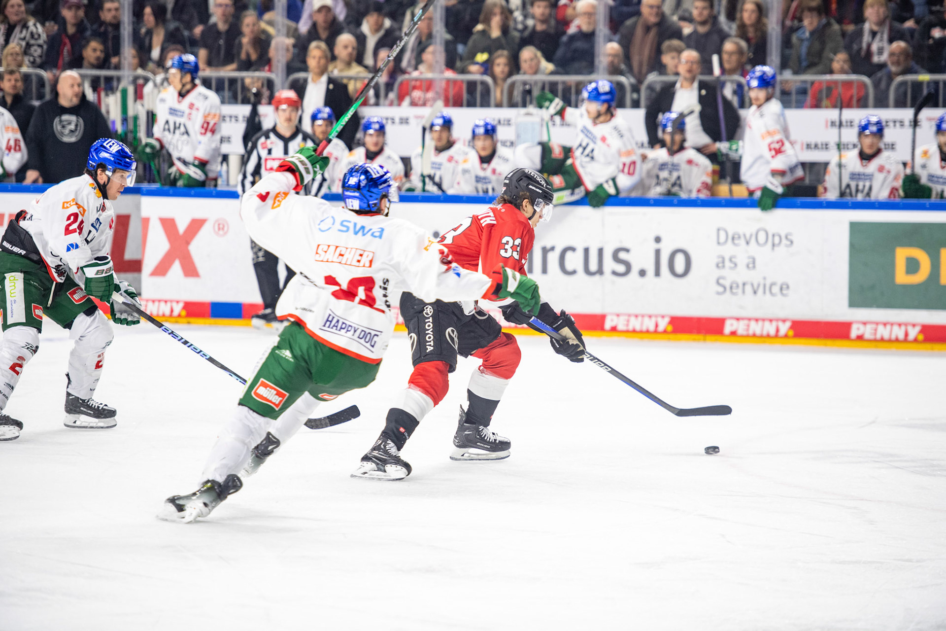 Tim Wohlgemuth; DEL Kölner Haie - Augsburger Panther, 19.11.2023