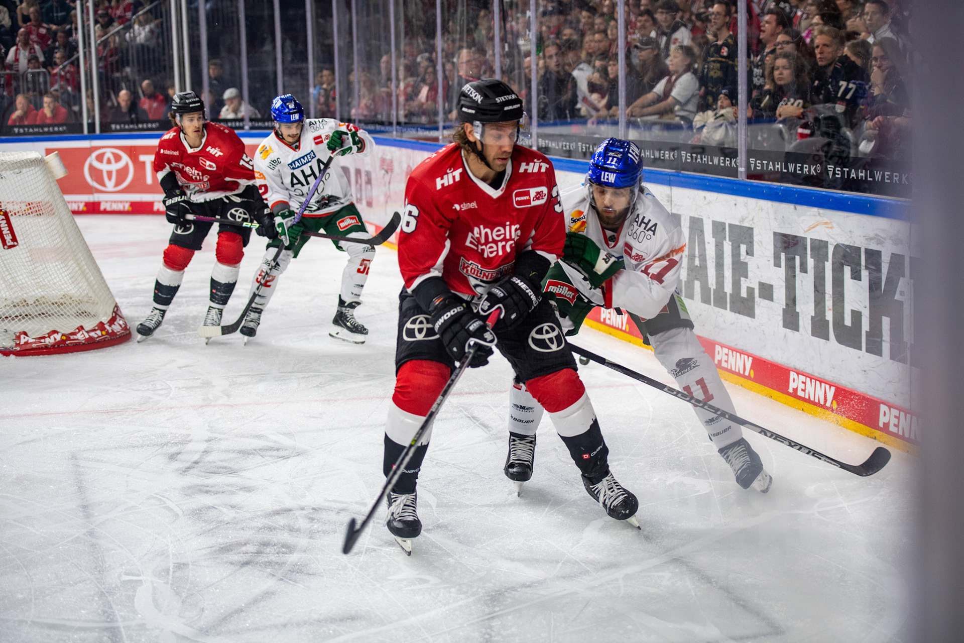 Andreas Thuresson Mick Koehler; DEL Kölner Haie - Augsburger Panther, 03.10.2023