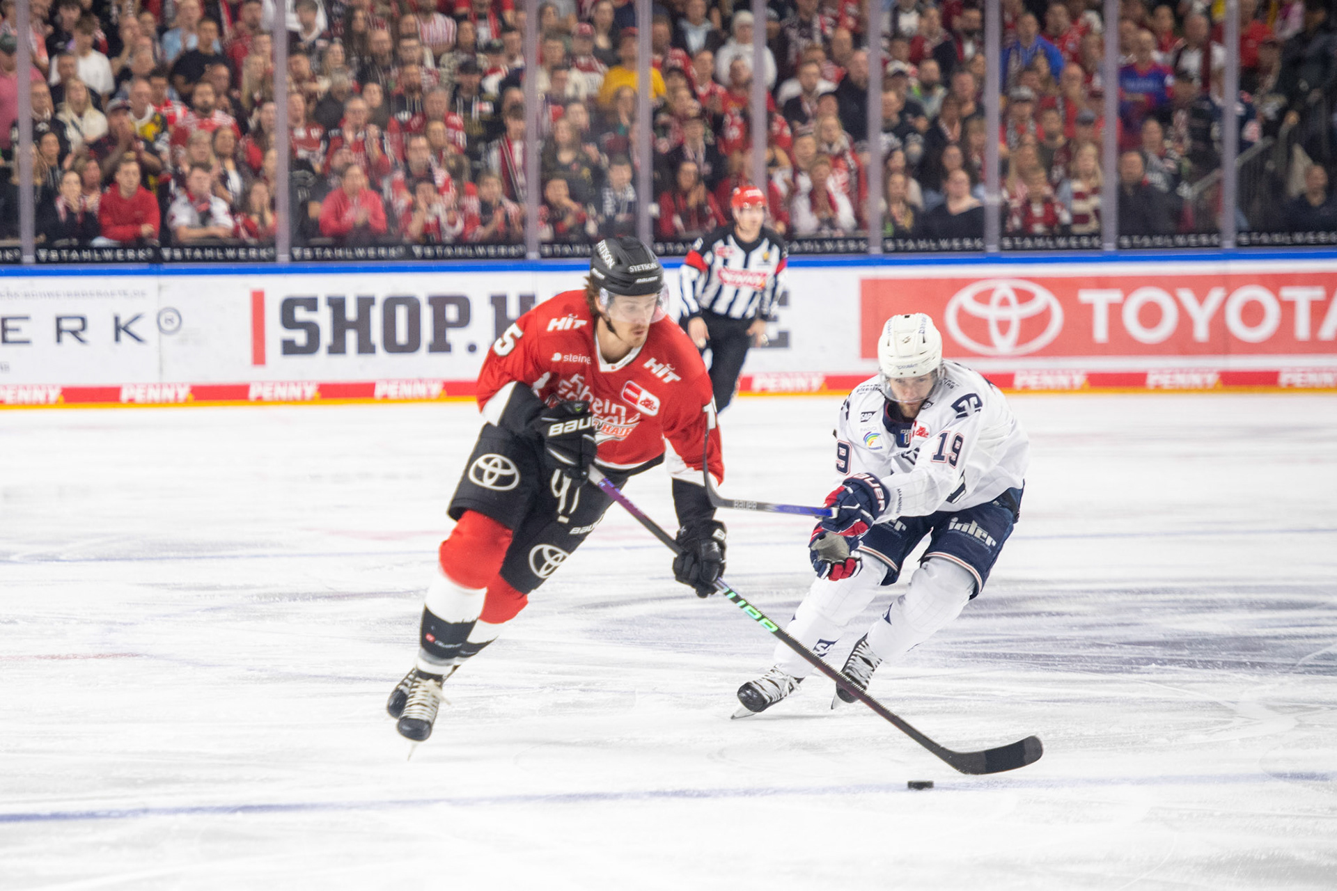 Louis Marc Aubry, Linden Vey; DEL Kölner Haie - Adler Mannheim, 30.09.2023