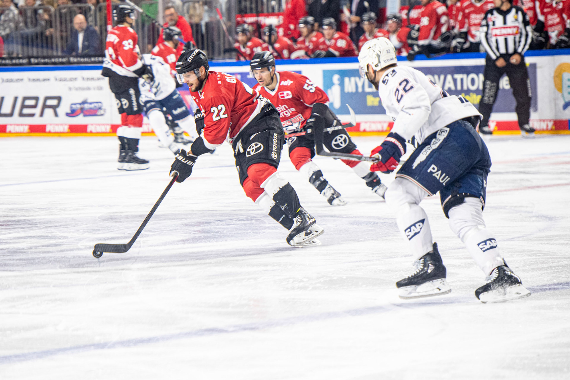Maximilian Gloetzl; DEL Kölner Haie - Adler Mannheim, 30.09.2023