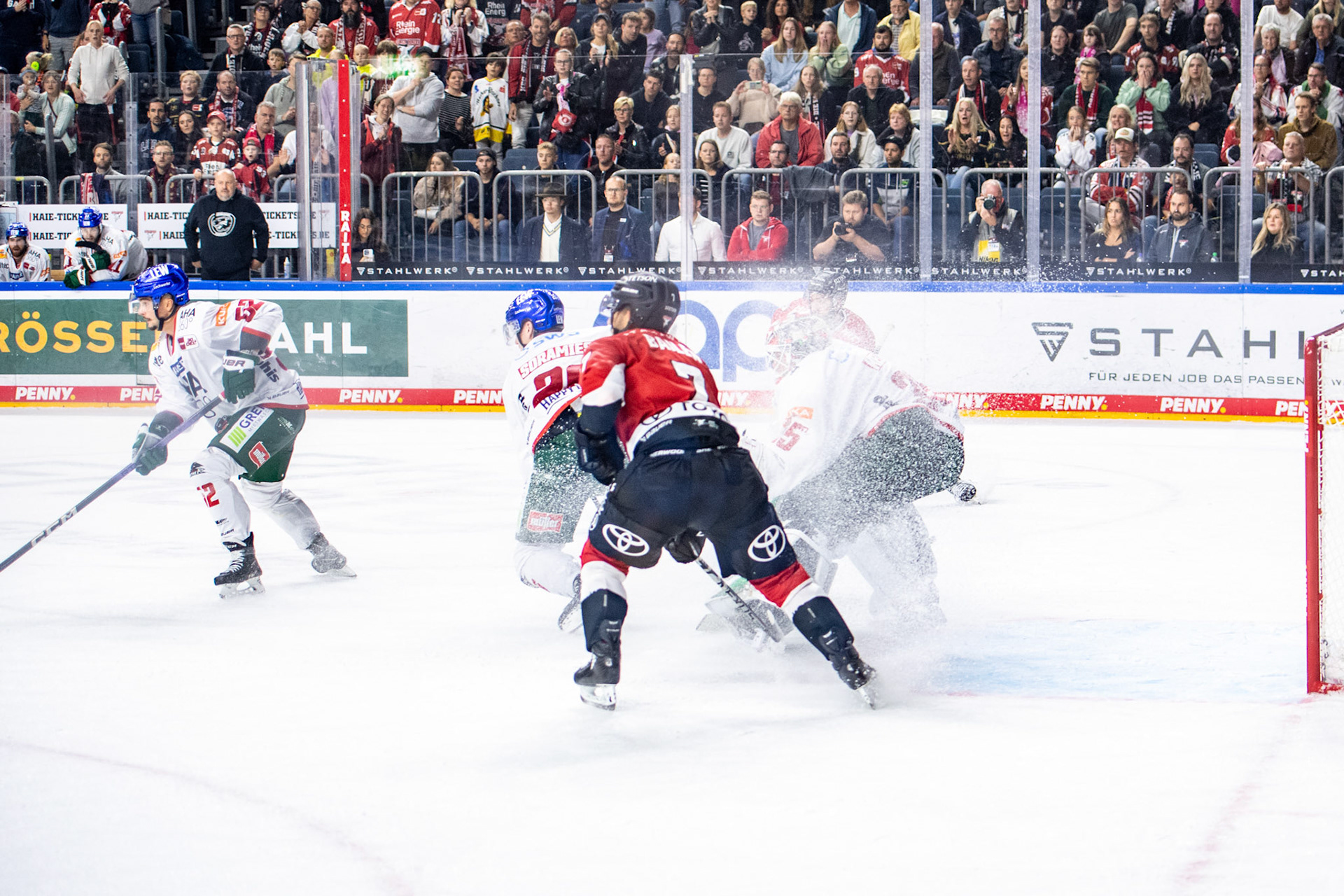 Nicholas Bailen; DEL Kölner Haie - Augsburger Panther, 03.10.2023