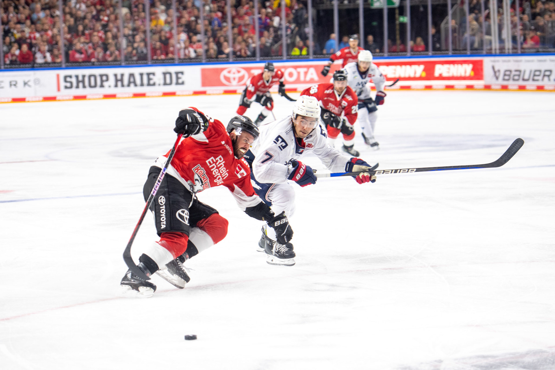 John Gilmour; DEL Kölner Haie - Adler Mannheim, 30.09.2023