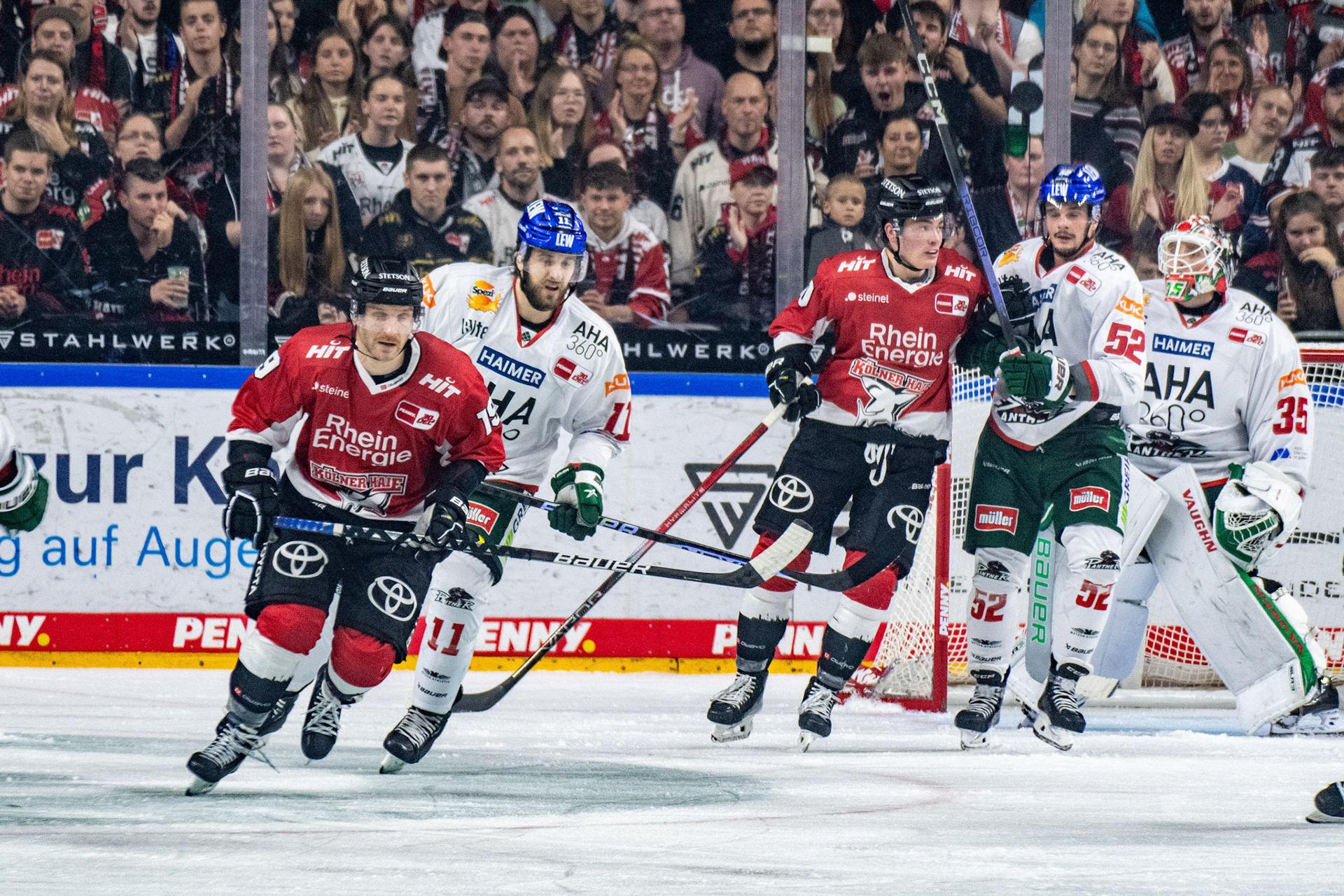 Frederik Storm; DEL Kölner Haie - Augsburger Panther, 03.10.2023