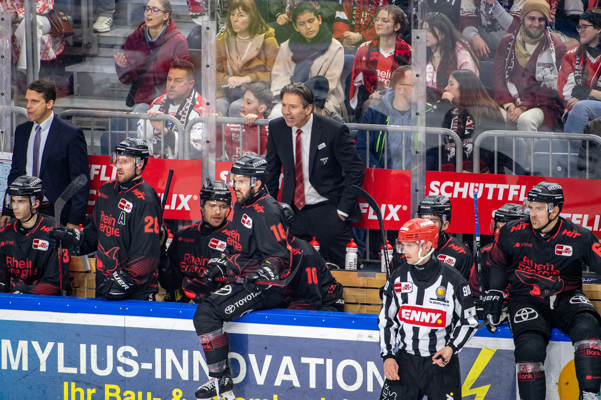 Uwe Krupp, Headcoach der Kölner Haie; DEL Kölner Haie - Iserlohn Roosters, 13.02.2024