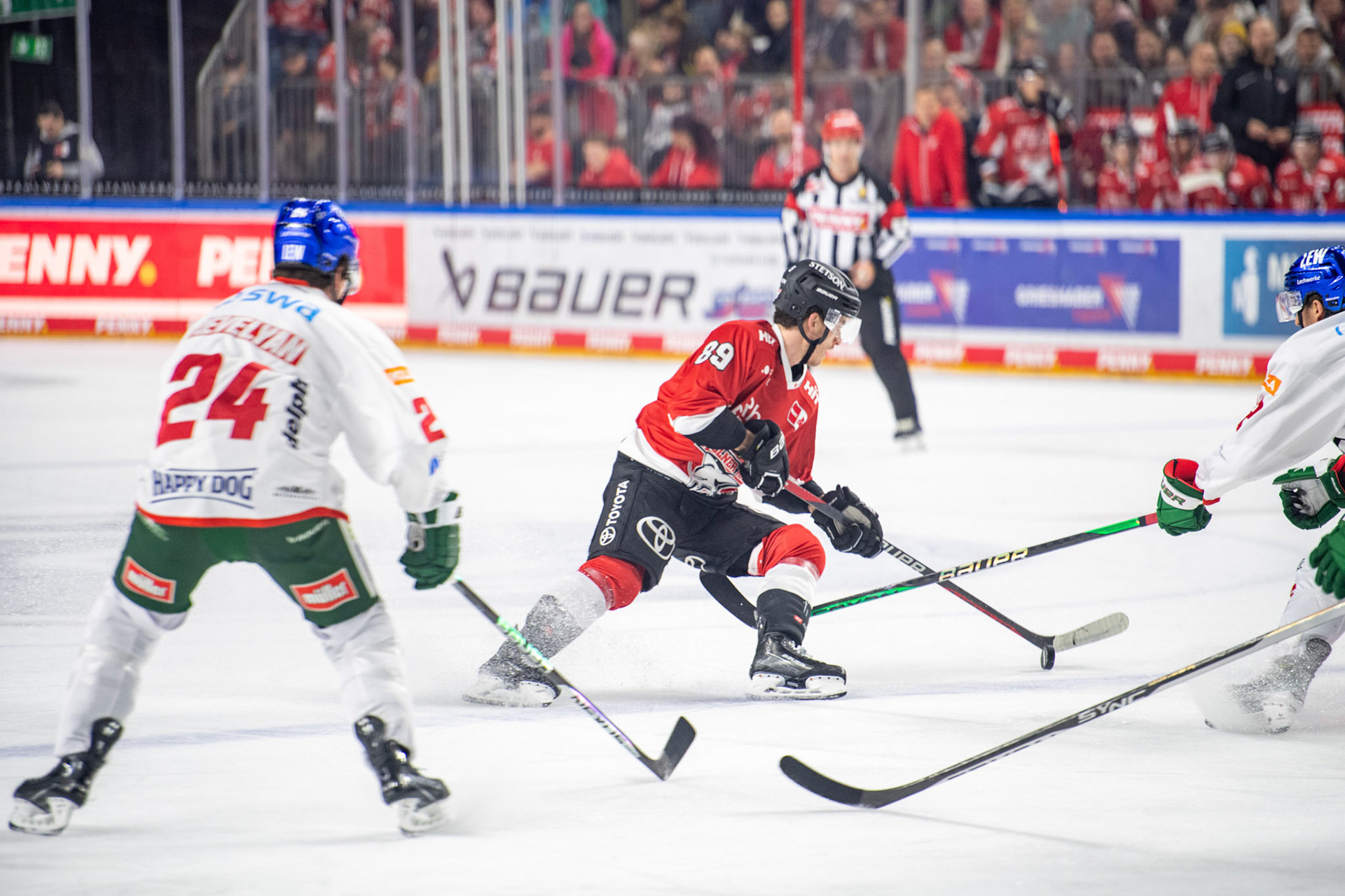 Gregor Macleod; DEL Kölner Haie - Augsburger Panther, 19.11.2023