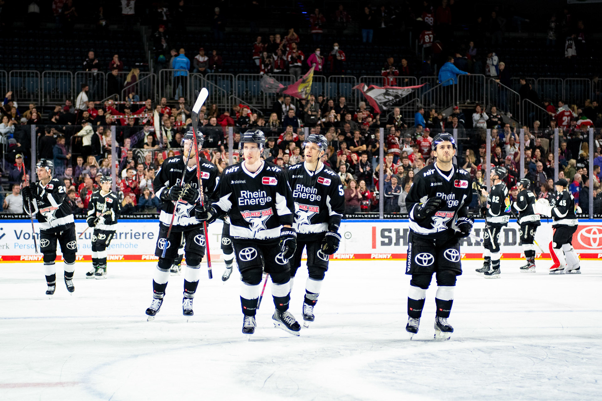 Koelner Haie; DEL Kölner Haie - Bremerhaven Fischtown Pinguins, 01.11.2023