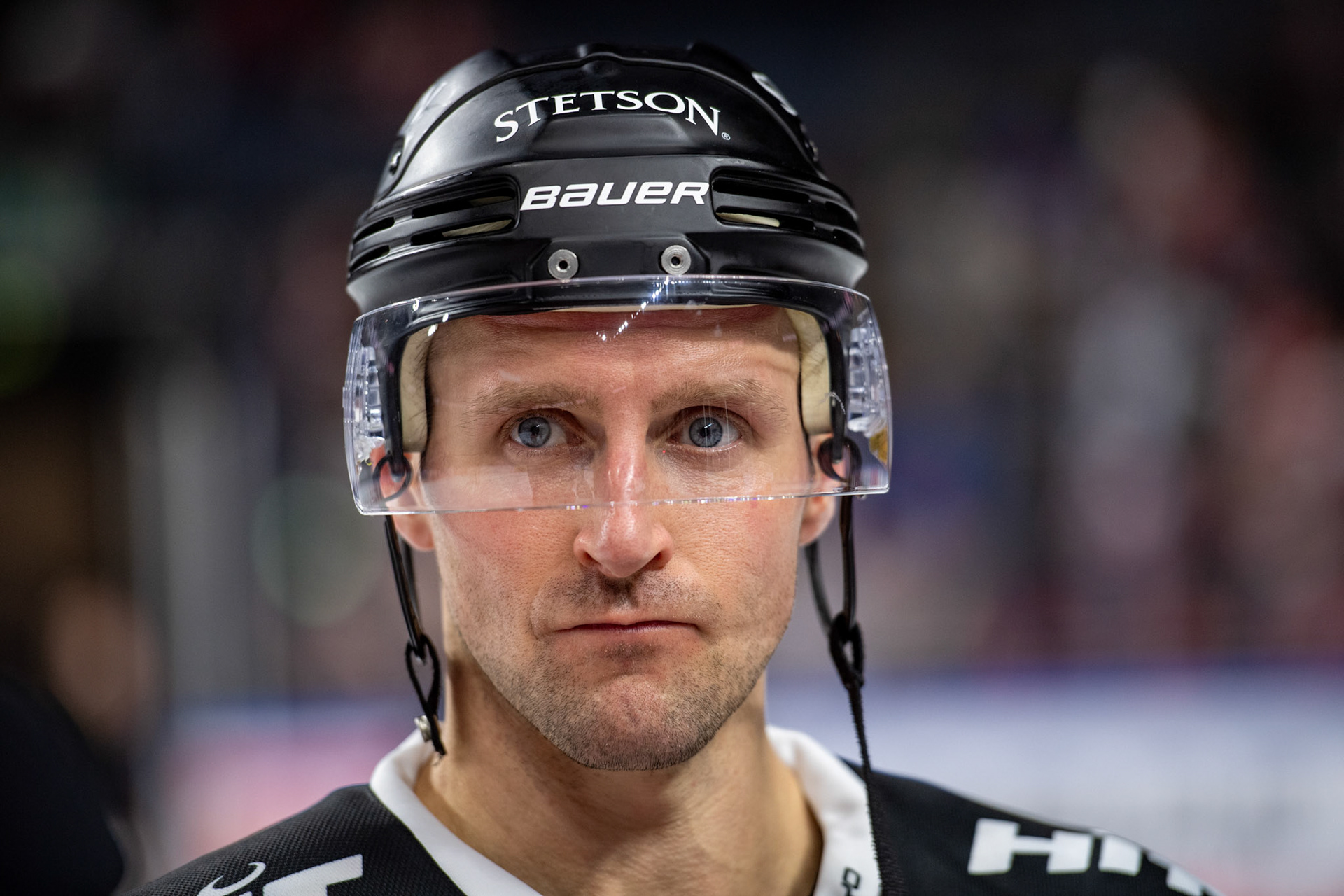 David Mcintyre; DEL Kölner Haie - Bremerhaven Fischtown Pinguins, 01.11.2023