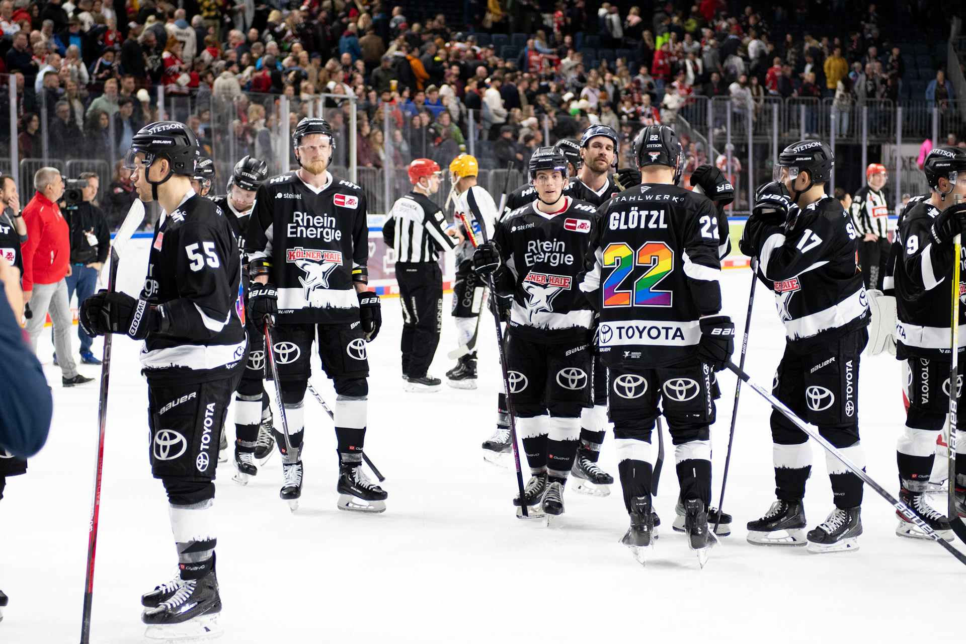 Koelner Haie; DEL Kölner Haie - Bremerhaven Fischtown Pinguins, 01.11.2023