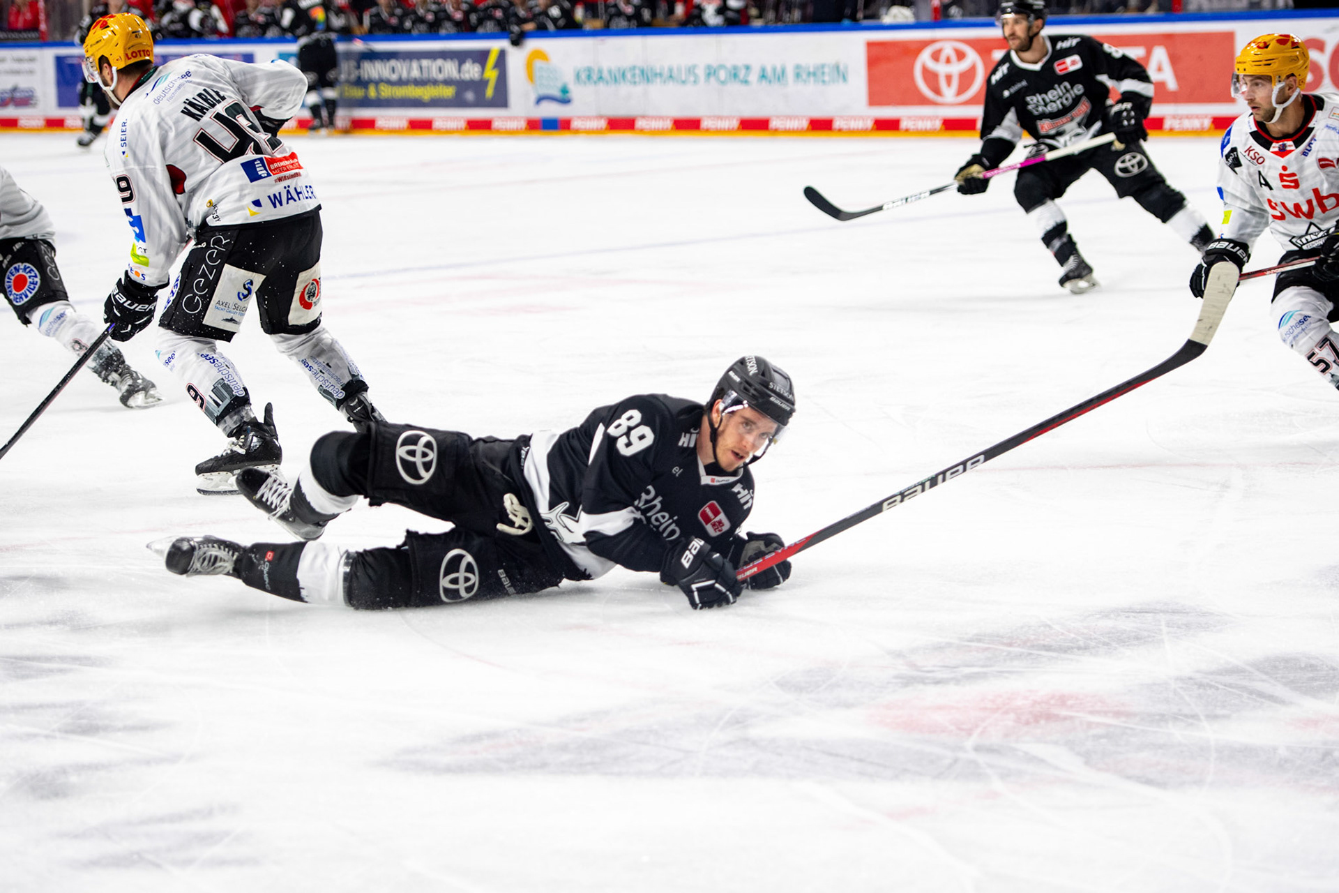 Gregor Macleod; DEL Kölner Haie - Bremerhaven Fischtown Pinguins, 01.11.2023
