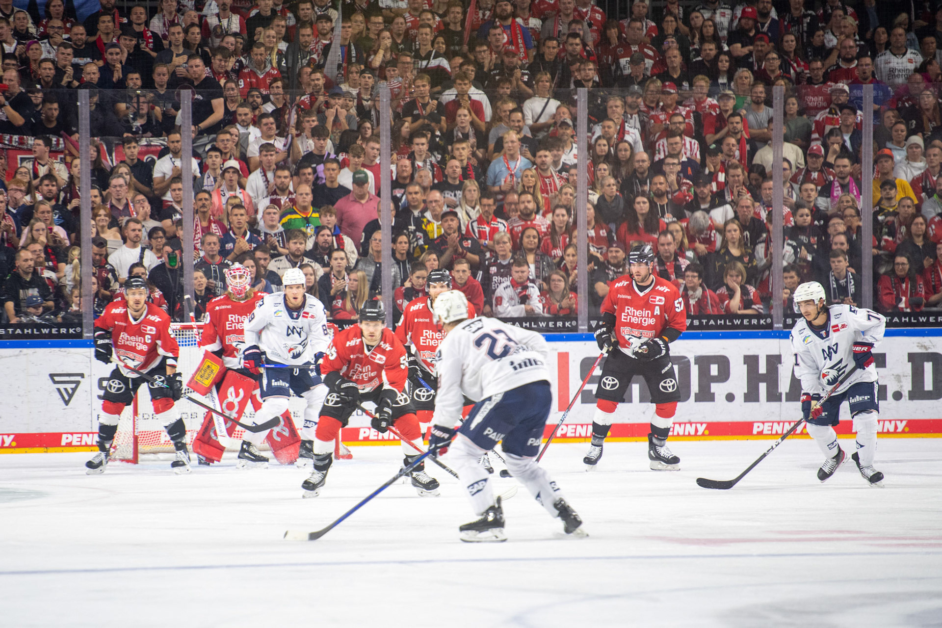 Koelner Haie; DEL Kölner Haie - Adler Mannheim, 30.09.2023