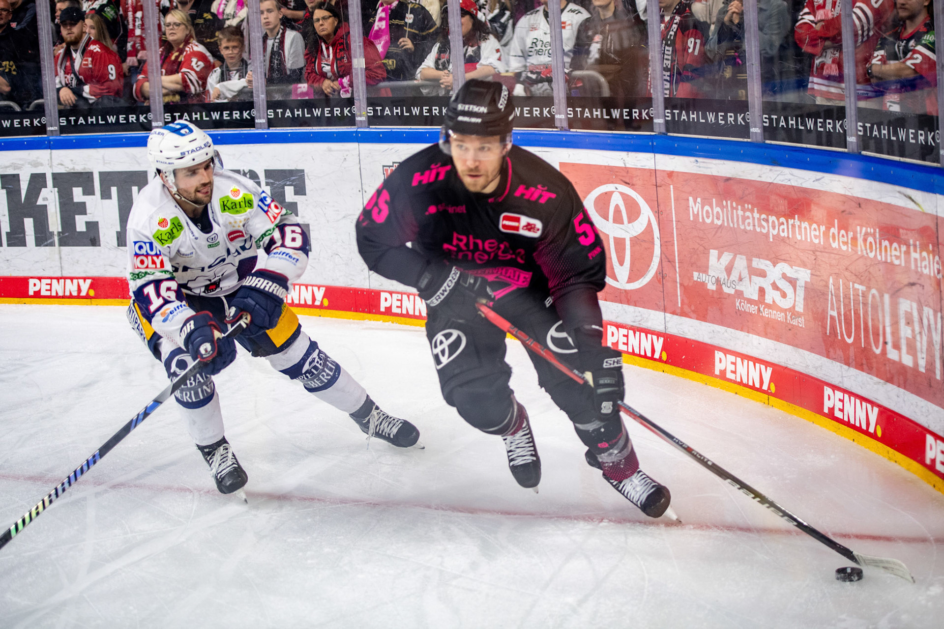 Carter Proft im Zweikampf mit Ben Finkelstein; DEL Kölner Haie - Eisbaeren Berlin, 06.10.2023