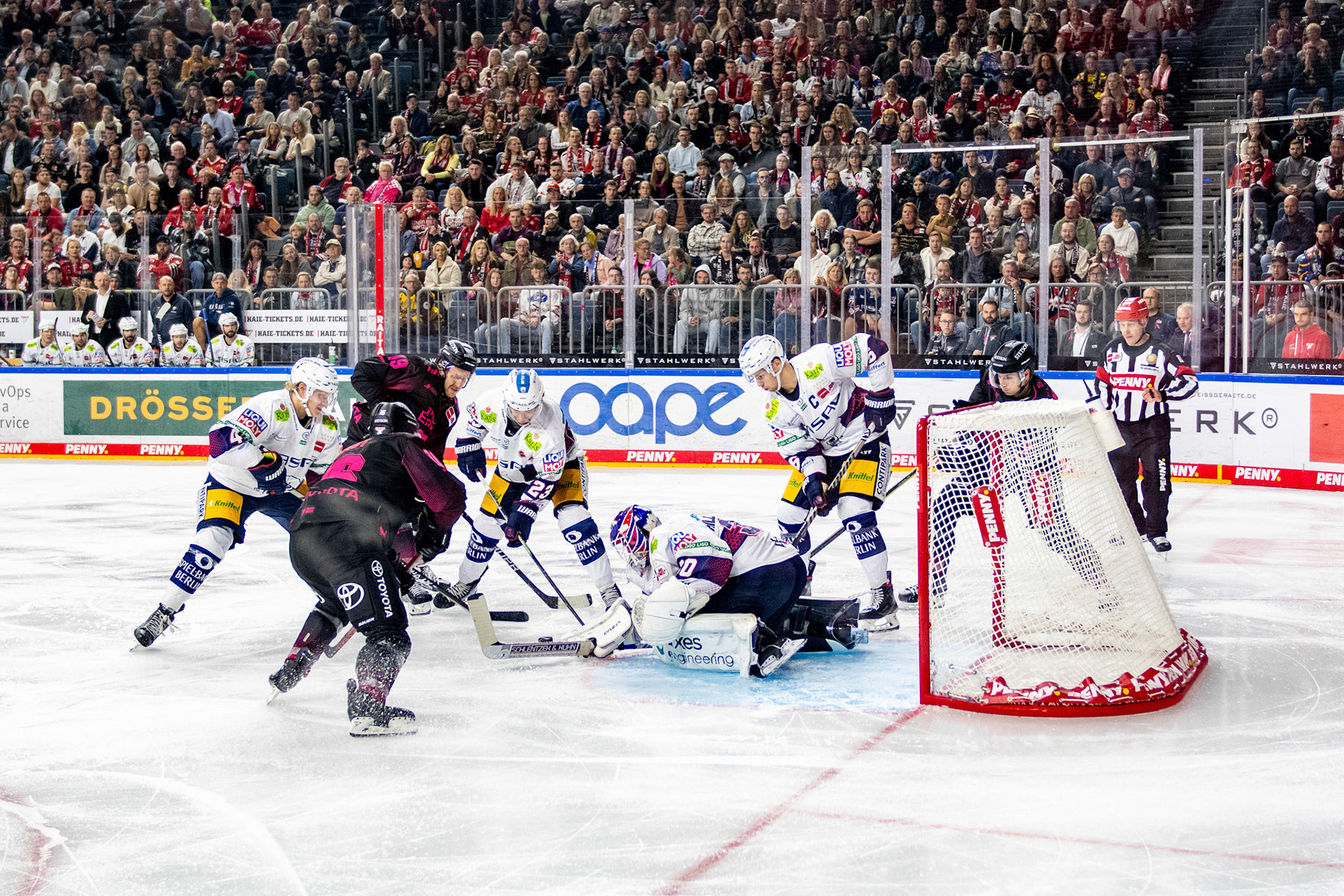Koelner Haie, Eisbaeren Berlin; DEL Kölner Haie - Eisbaeren Berlin, 06.10.2023