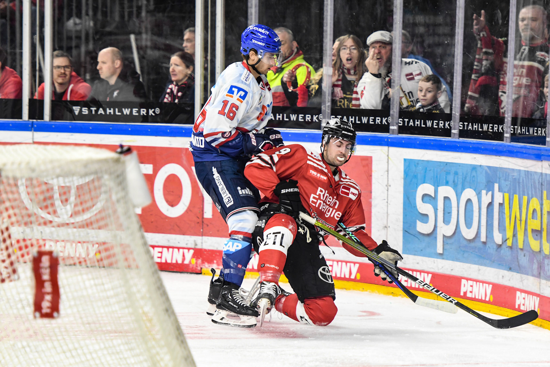 Maximilian Kammerer; DEL Kölner Haie - Adler Mannheim, 17.03.2023
