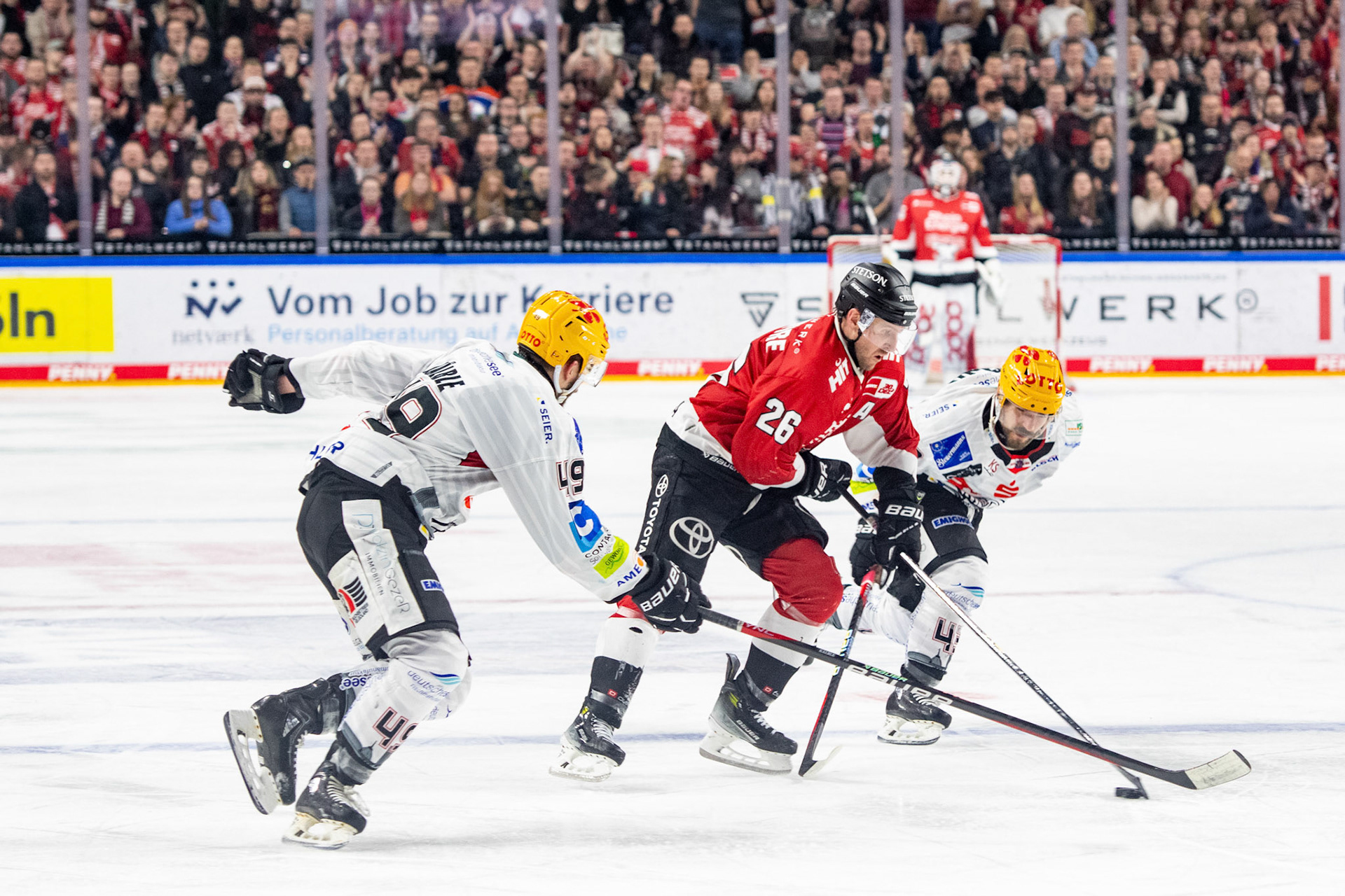 David Mcintyre, Lukas Kälble; DEL Kölner Haie - Fishtown Pinguins Bremerhaven, 30.01.2024