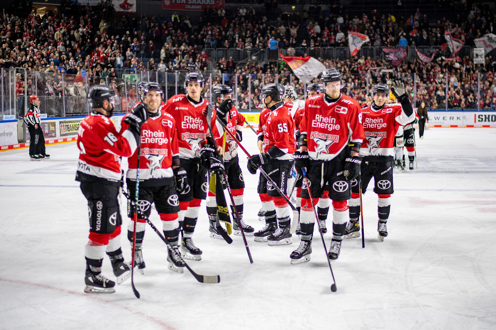 Koelner Haie; DEL Kölner Haie - Fishtown Pinguins Bremerhaven, 30.01.2024