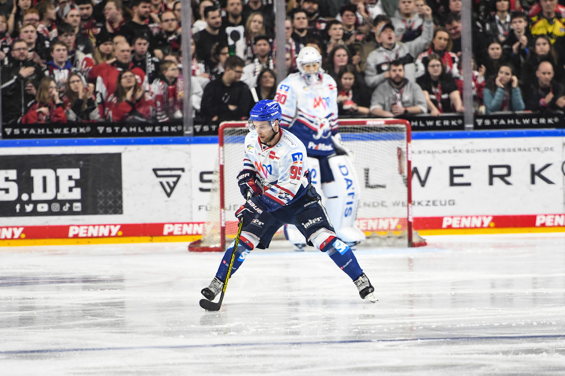 Mark Katic; DEL Kölner Haie - Adler Mannheim, 17.03.2023