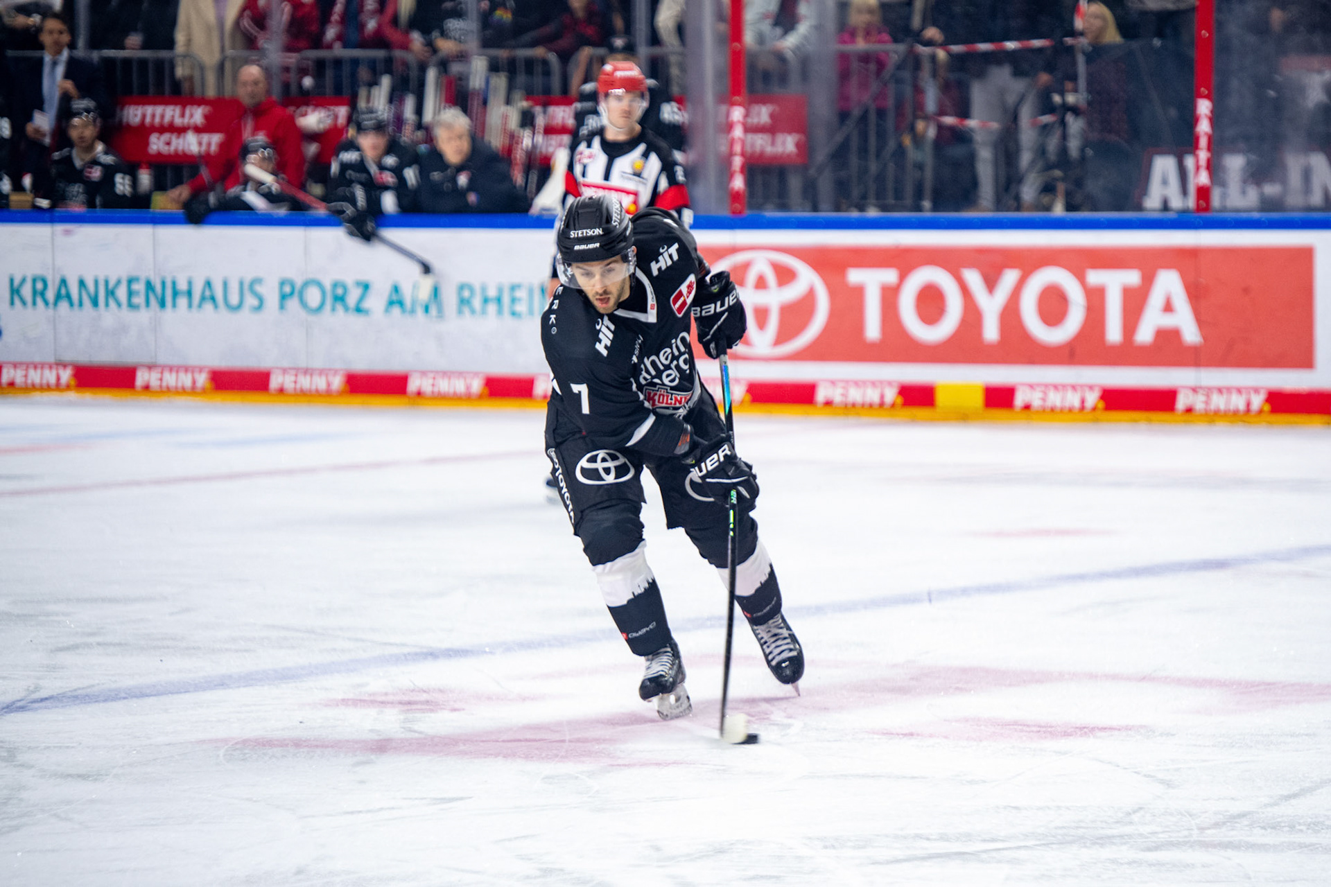Nicholas Bailen; DEL Kölner Haie - Bremerhaven Fischtown Pinguins, 01.11.2023
