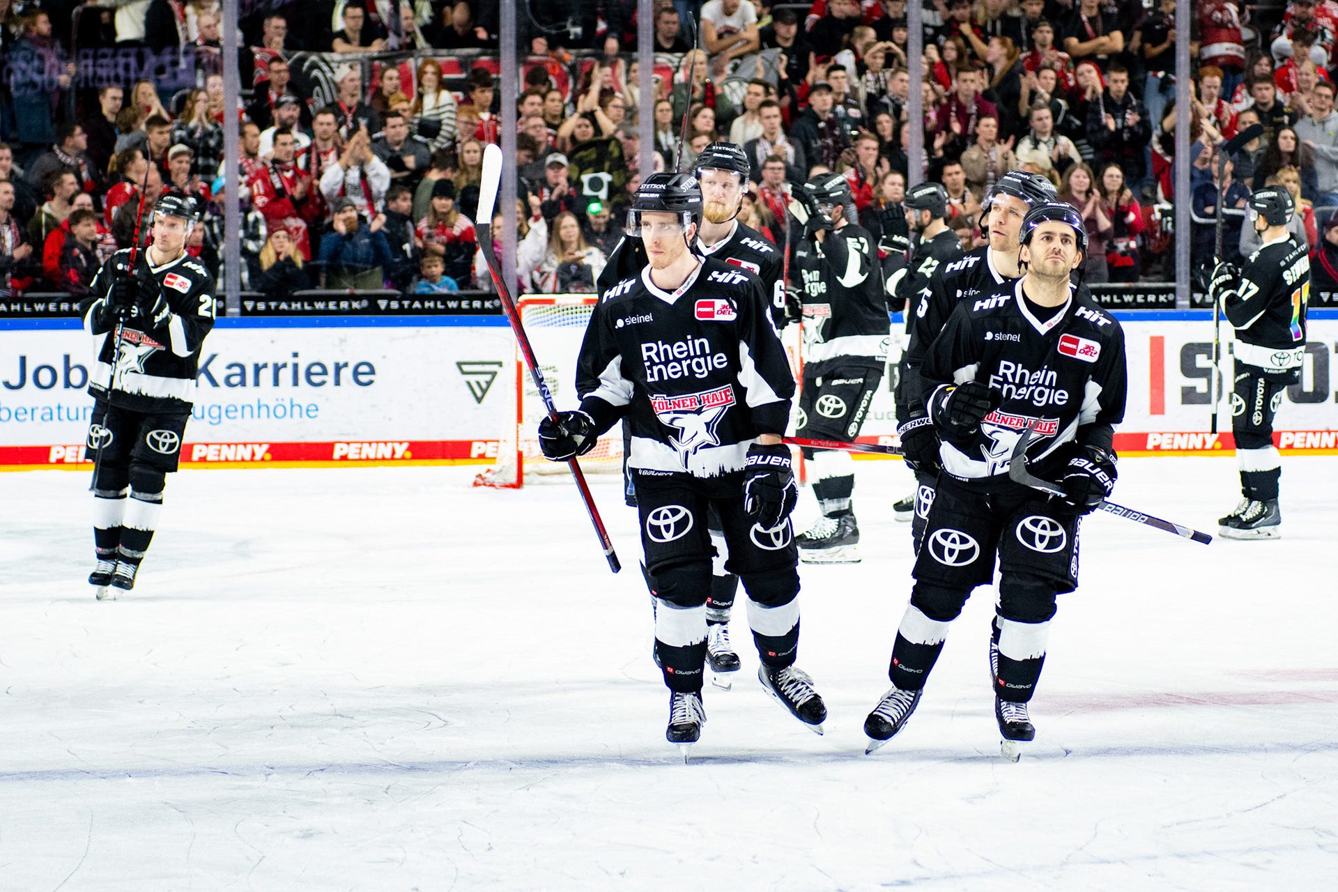 Koelner Haie; DEL Kölner Haie - Bremerhaven Fischtown Pinguins, 01.11.2023