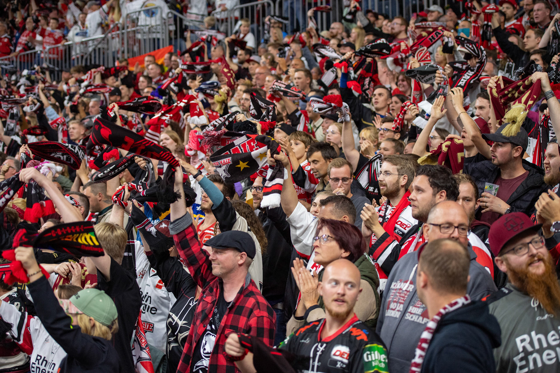 Koelner Haie Fans beim Torjubel; DEL Kölner Haie - Augsburger Panther, 03.10.2023