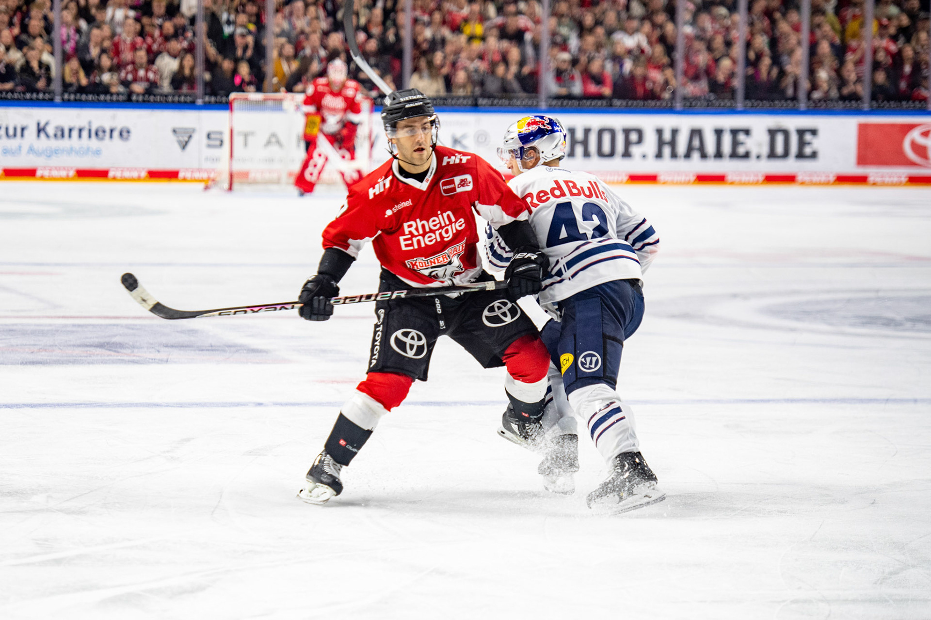 Nicholas Bailen im Zweikampf mit Yasin Ehliz; DEL Kölner Haie - EHC Red Bull München, 27.10.2023