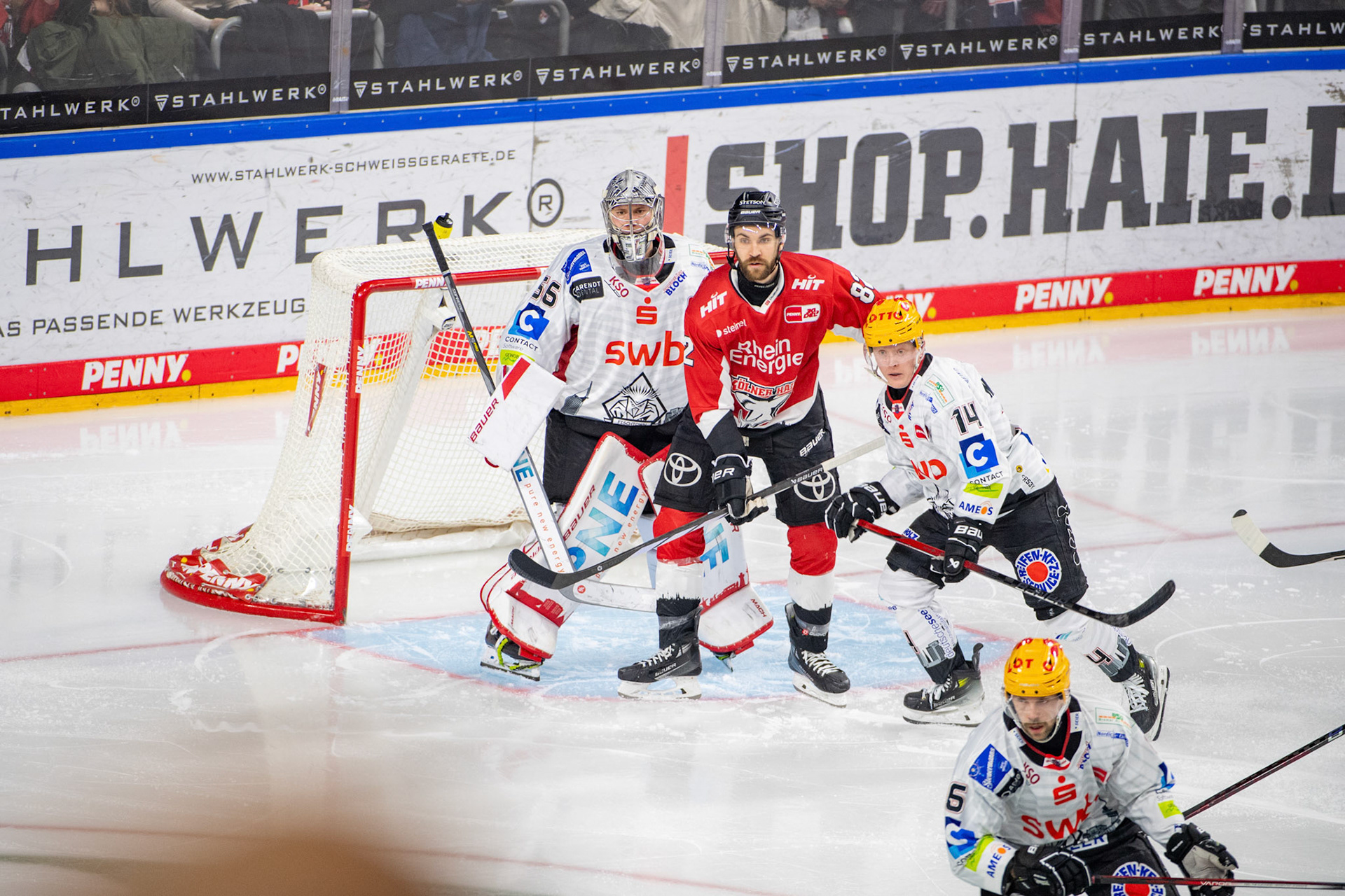 Alexandre Grenier, Maximilian Franzreb, Ross Mauermann; DEL Kölner Haie - Fishtown Pinguins Bremerhaven, 30.01.2024