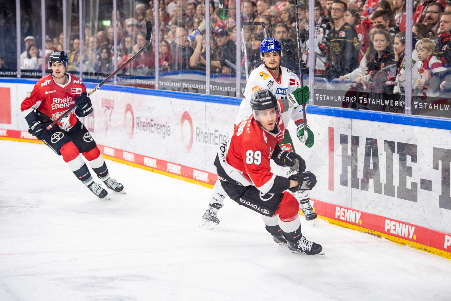 Gregor Macleod; DEL Kölner Haie - Augsburger Panther, 19.11.2023