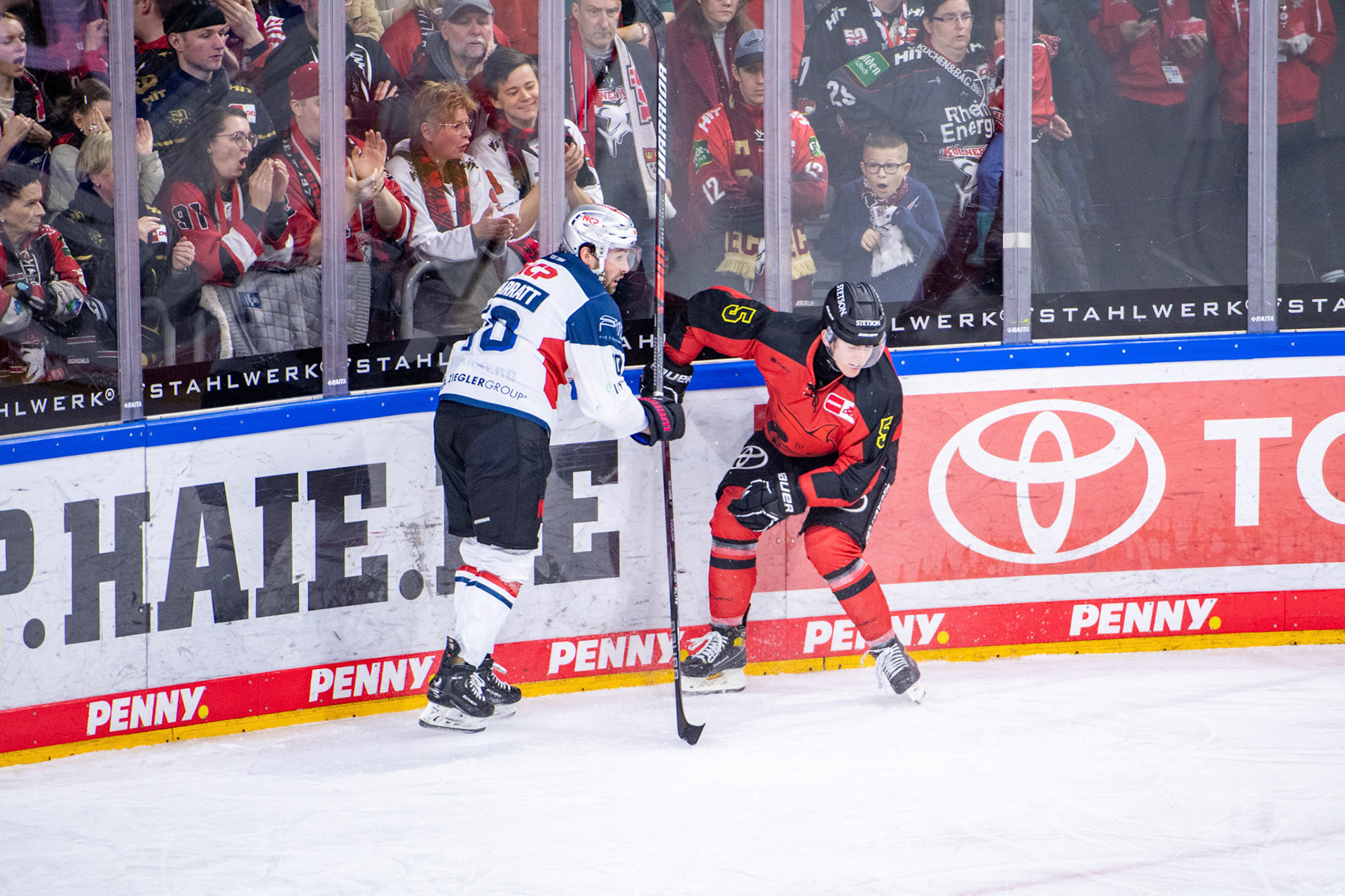 Robin van Calster; DEL Kölner Haie - Nürnberg Ice Tigers, 17.12.2023