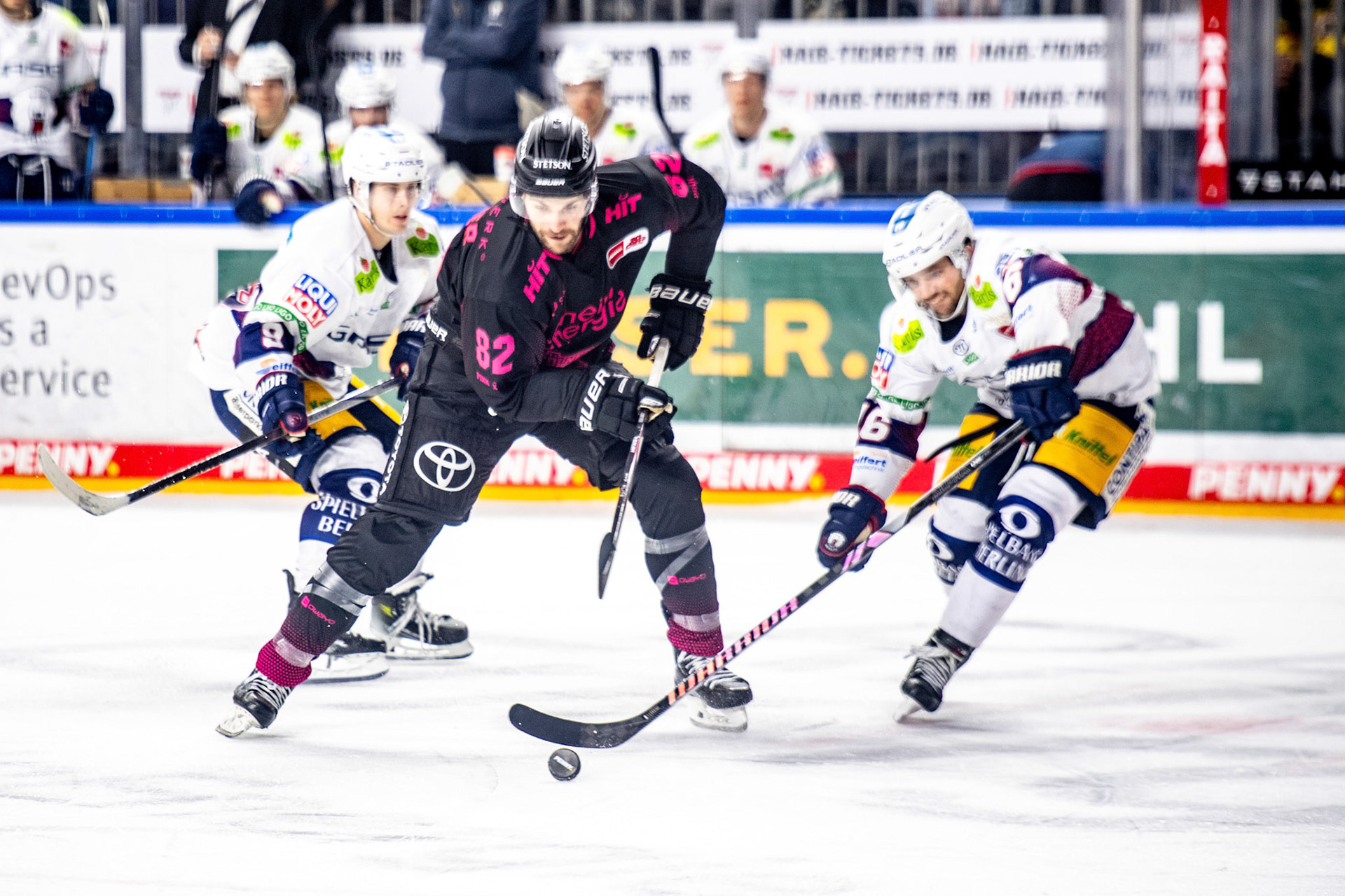 Alexandre Grenter; DEL Kölner Haie - Eisbaeren Berlin, 06.10.2023