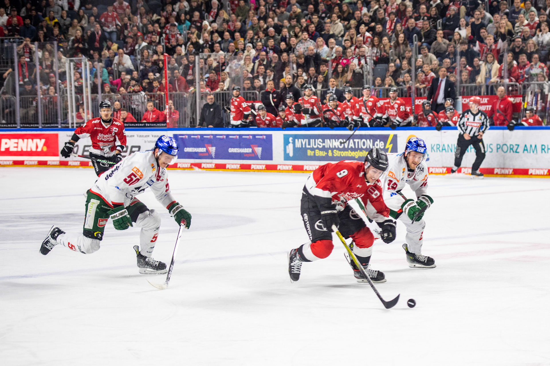 Maximilian Kammerer; DEL Kölner Haie - Augsburger Panther, 19.11.2023