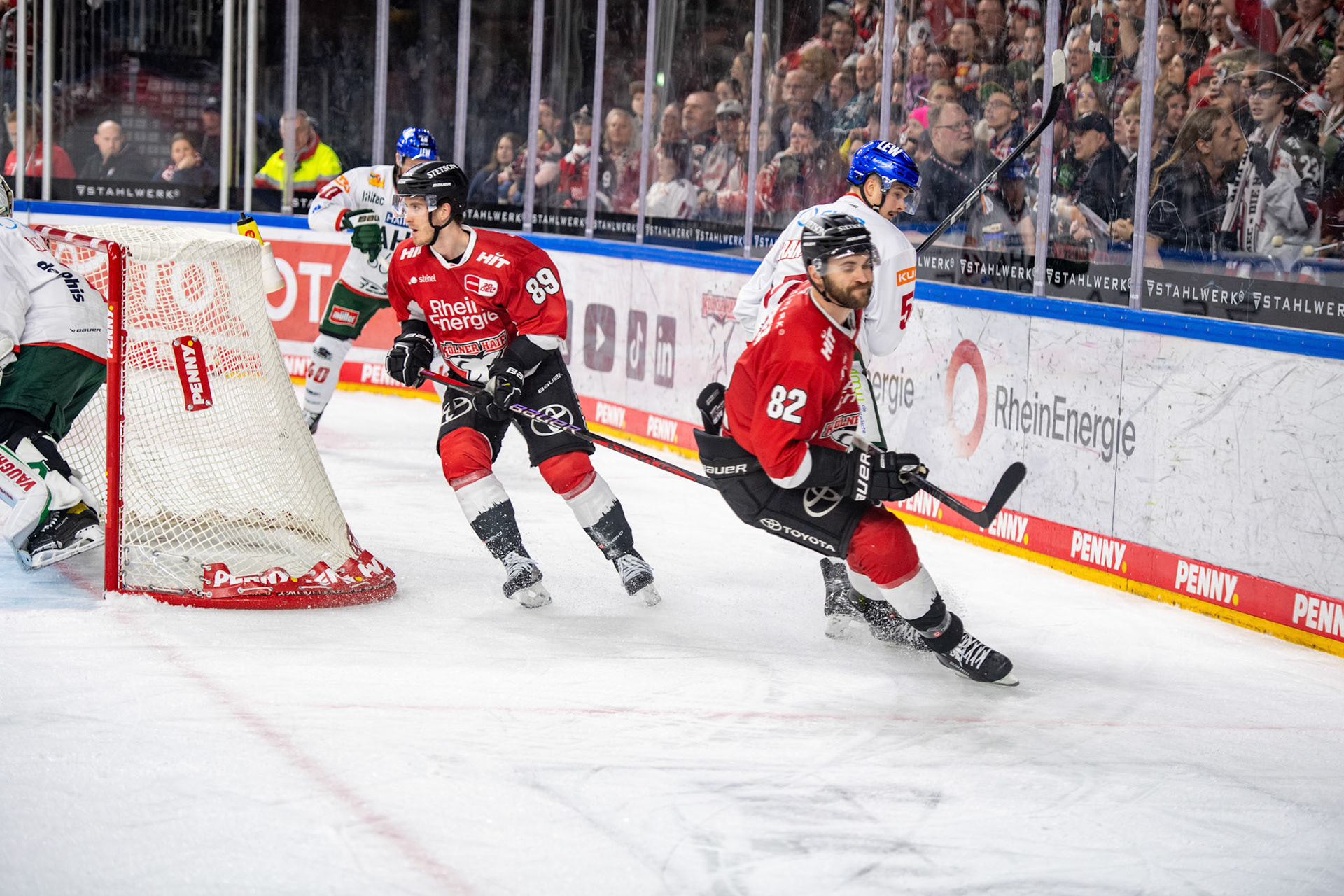 Alexandre Grenier; DEL Kölner Haie - Augsburger Panther, 19.11.2023