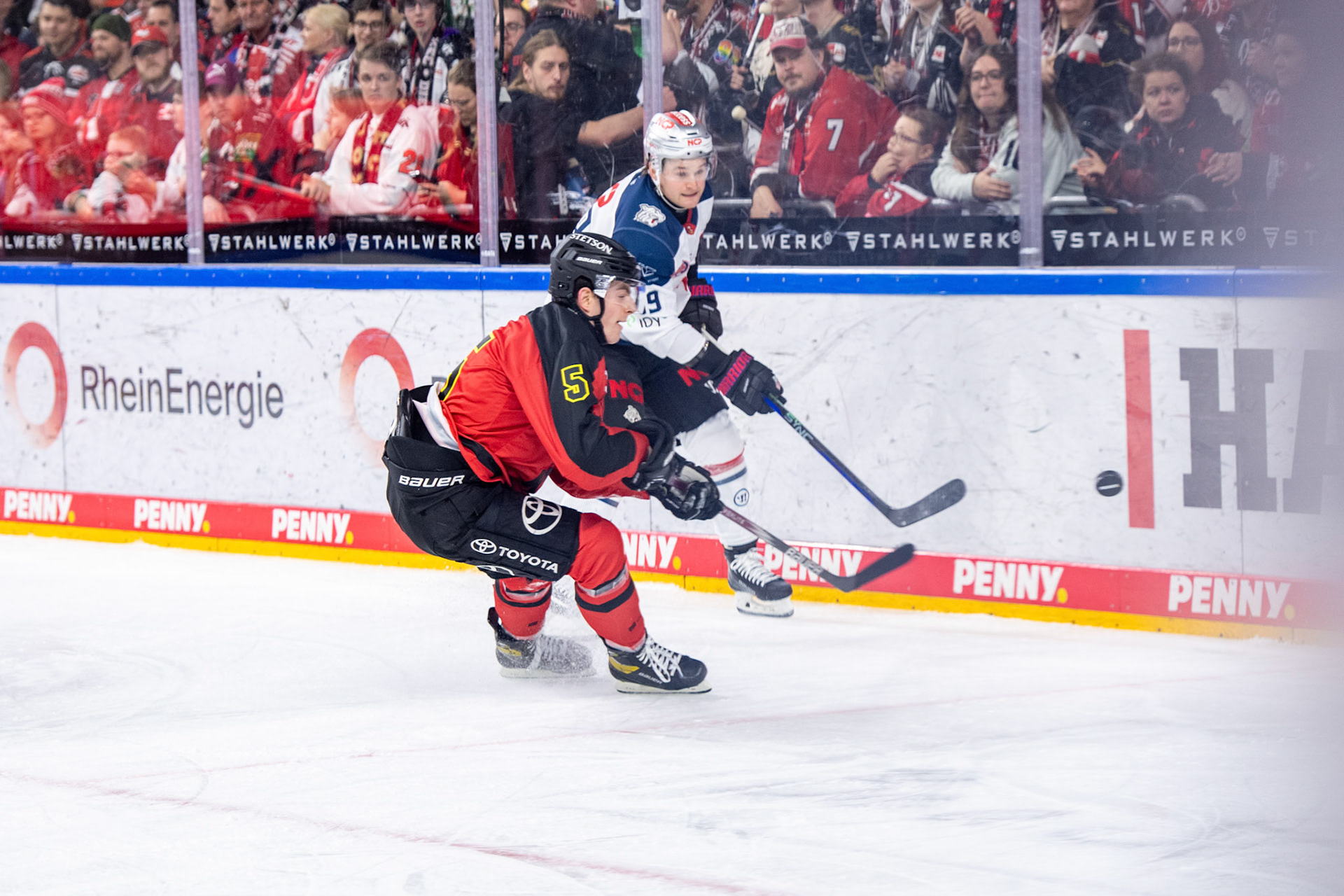 Robin van Calster im Zweikampf; DEL Kölner Haie - Nürnberg Ice Tigers, 17.12.2023