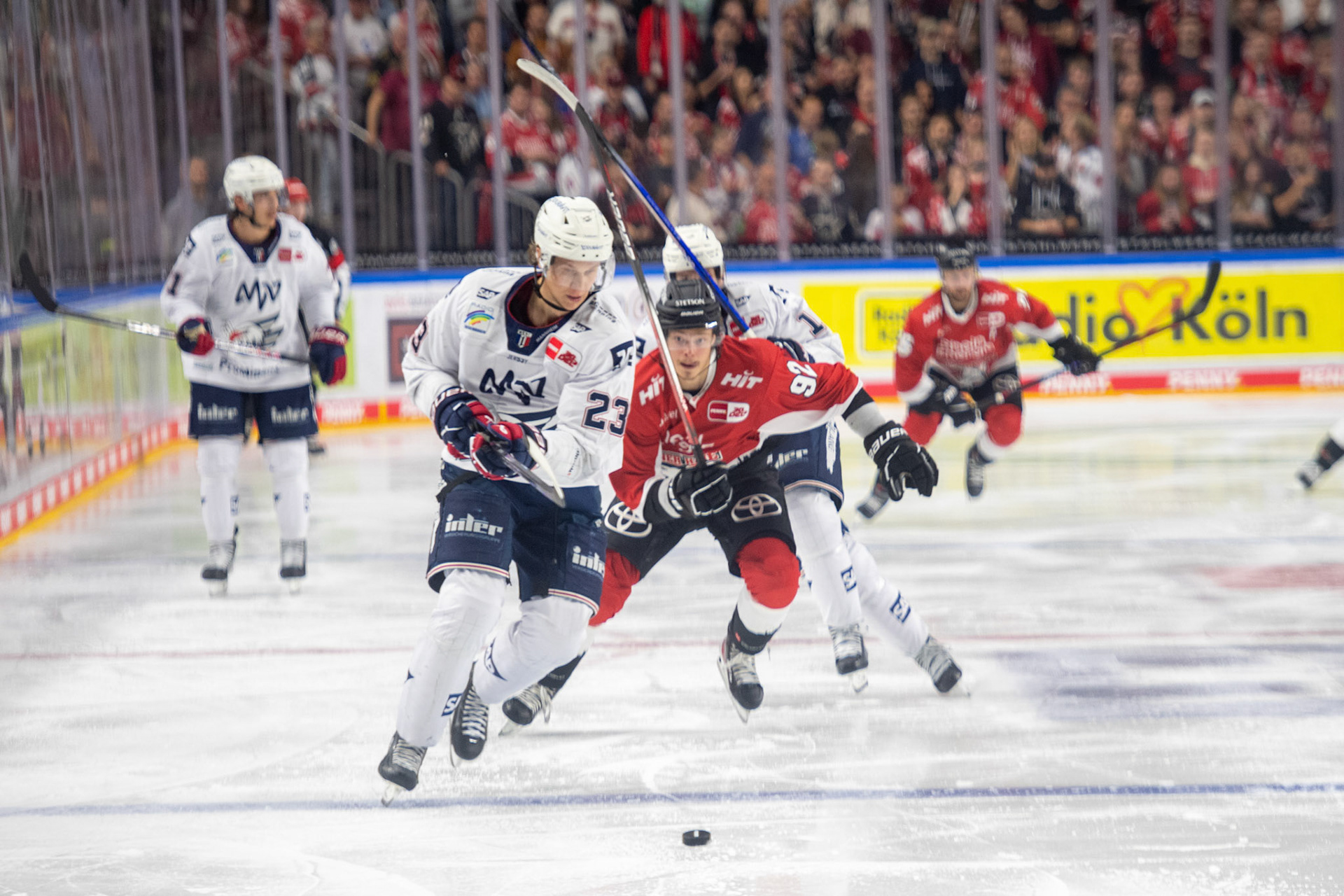 Jyaki Jokipakka, Hakon Haenelt; DEL Kölner Haie - Adler Mannheim, 30.09.2023