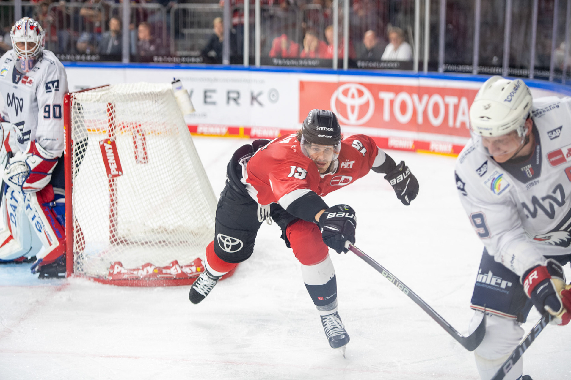 Frederik Storm; DEL Kölner Haie - Adler Mannheim, 30.09.2023