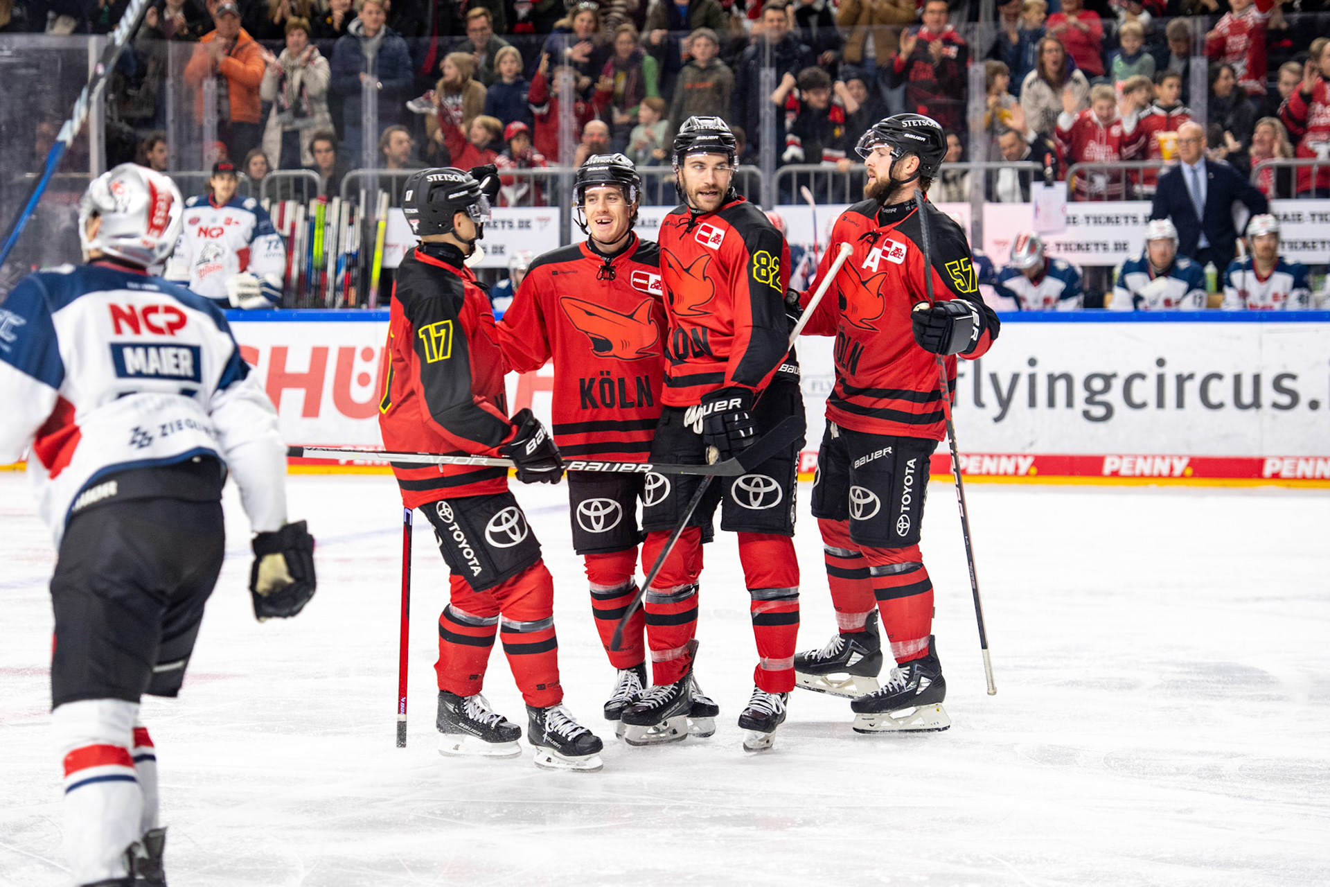 Koelner Haie beim Torjubel; DEL Kölner Haie - Nürnberg Ice Tigers, 17.12.2023