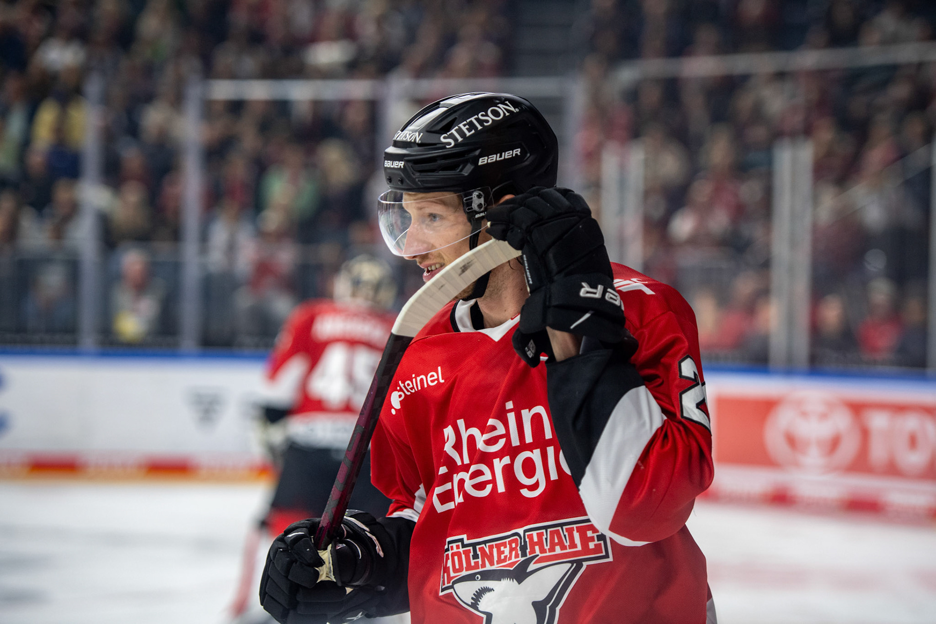 Andrej Sustr; DEL Kölner Haie - Augsburger Panther, 03.10.2023