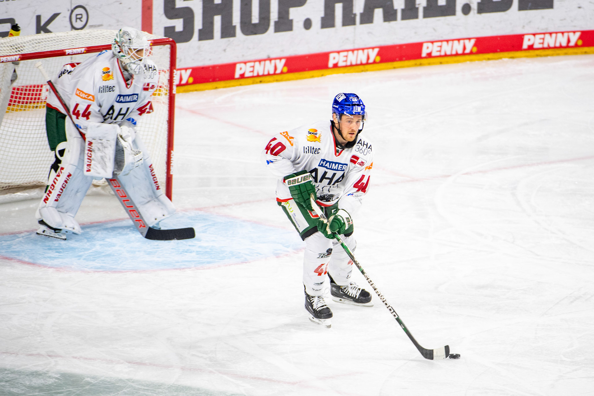 Tim Schuele; DEL Kölner Haie - Augsburger Panther, 19.11.2023