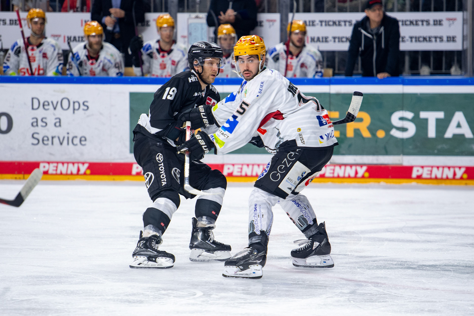 Frederik Storm im Zweikampf mit Gregory Kreutzer; DEL Kölner Haie - Bremerhaven Fischtown Pinguins, 01.11.2023