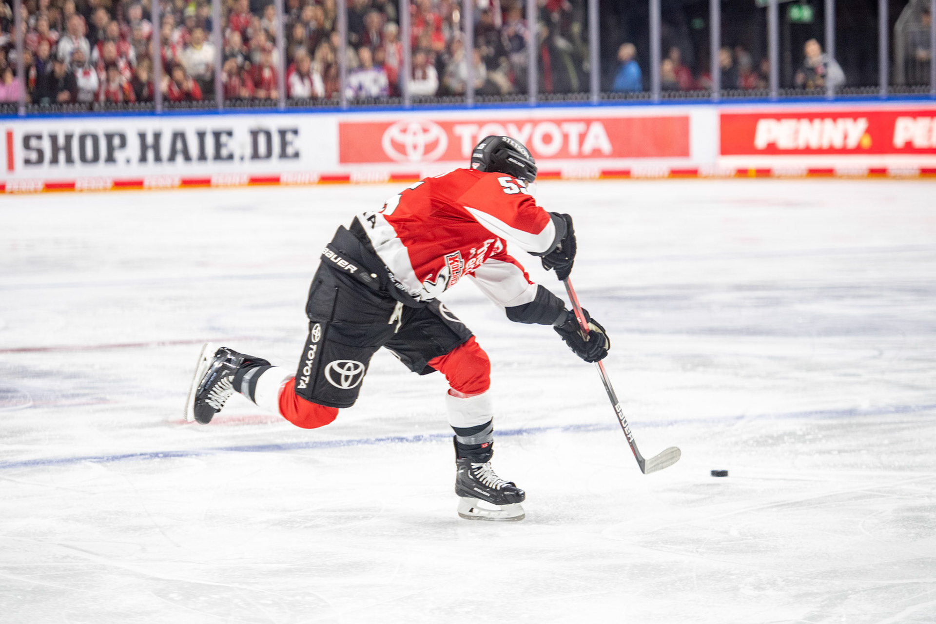 Carter Proft; DEL Kölner Haie - Augsburger Panther, 19.11.2023