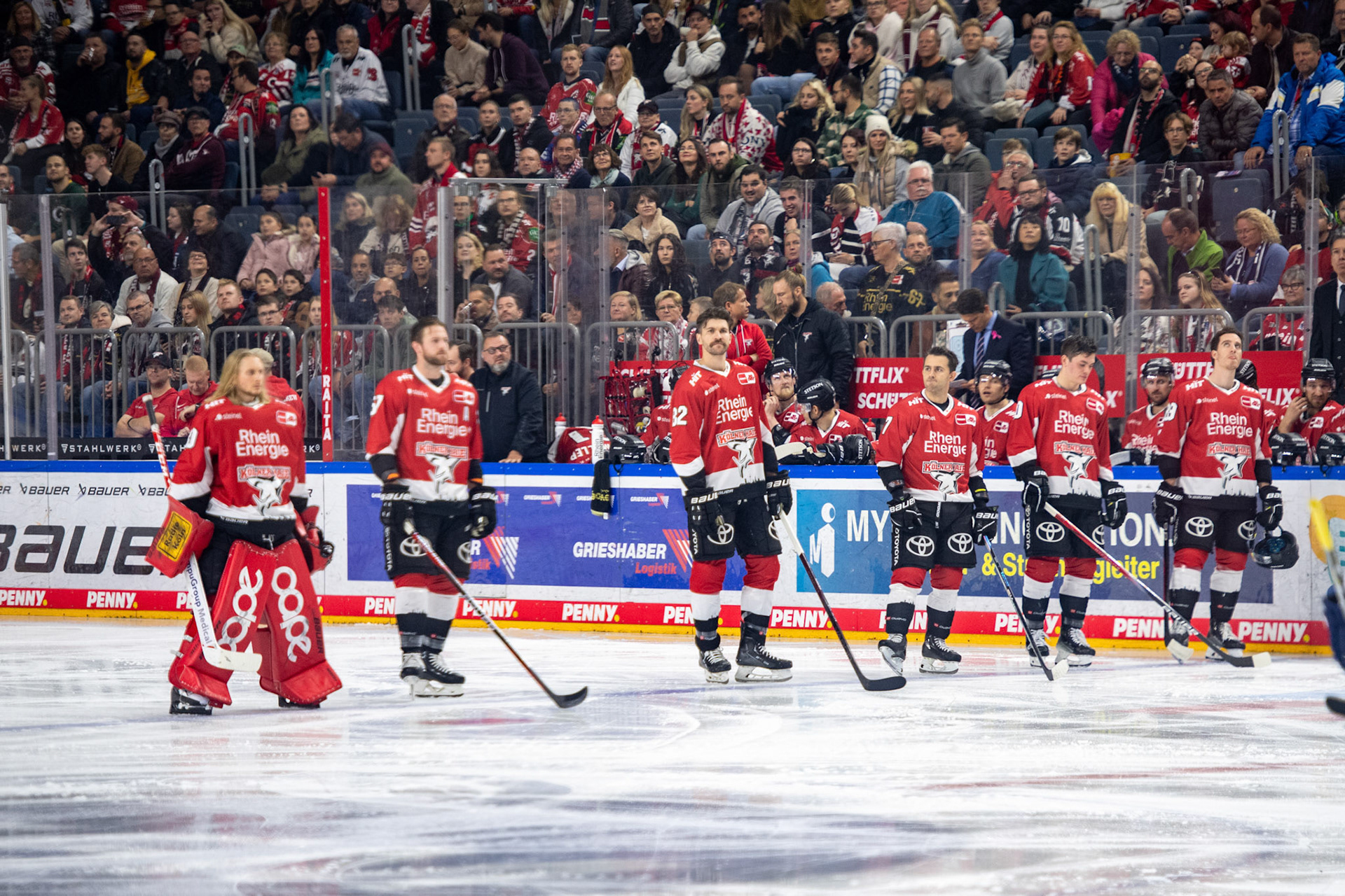 Koelner Haie; DEL Kölner Haie - EHC Red Bull München, 27.10.2023