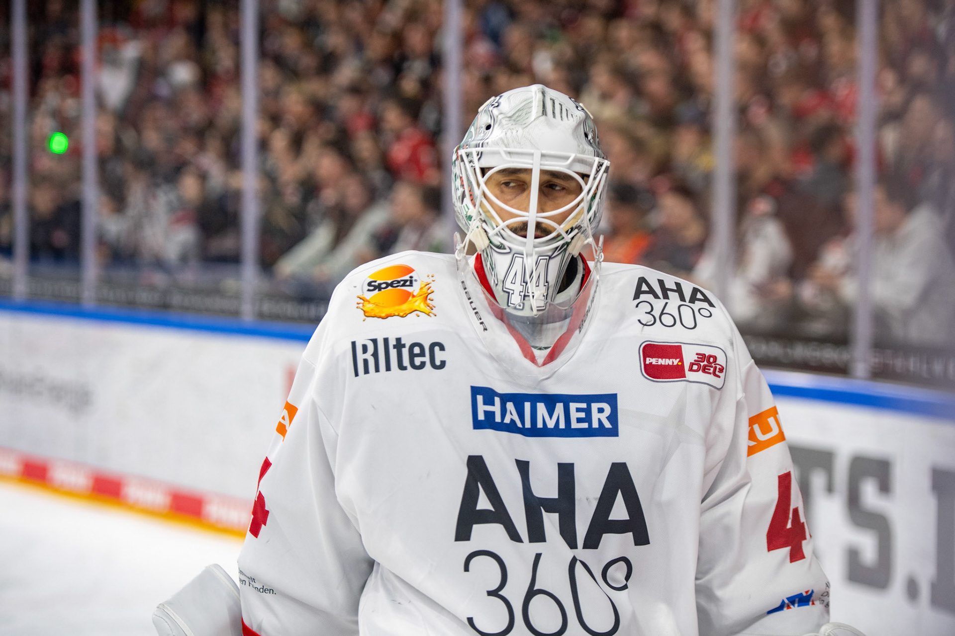 Dennis Endras; DEL Kölner Haie - Augsburger Panther, 19.11.2023