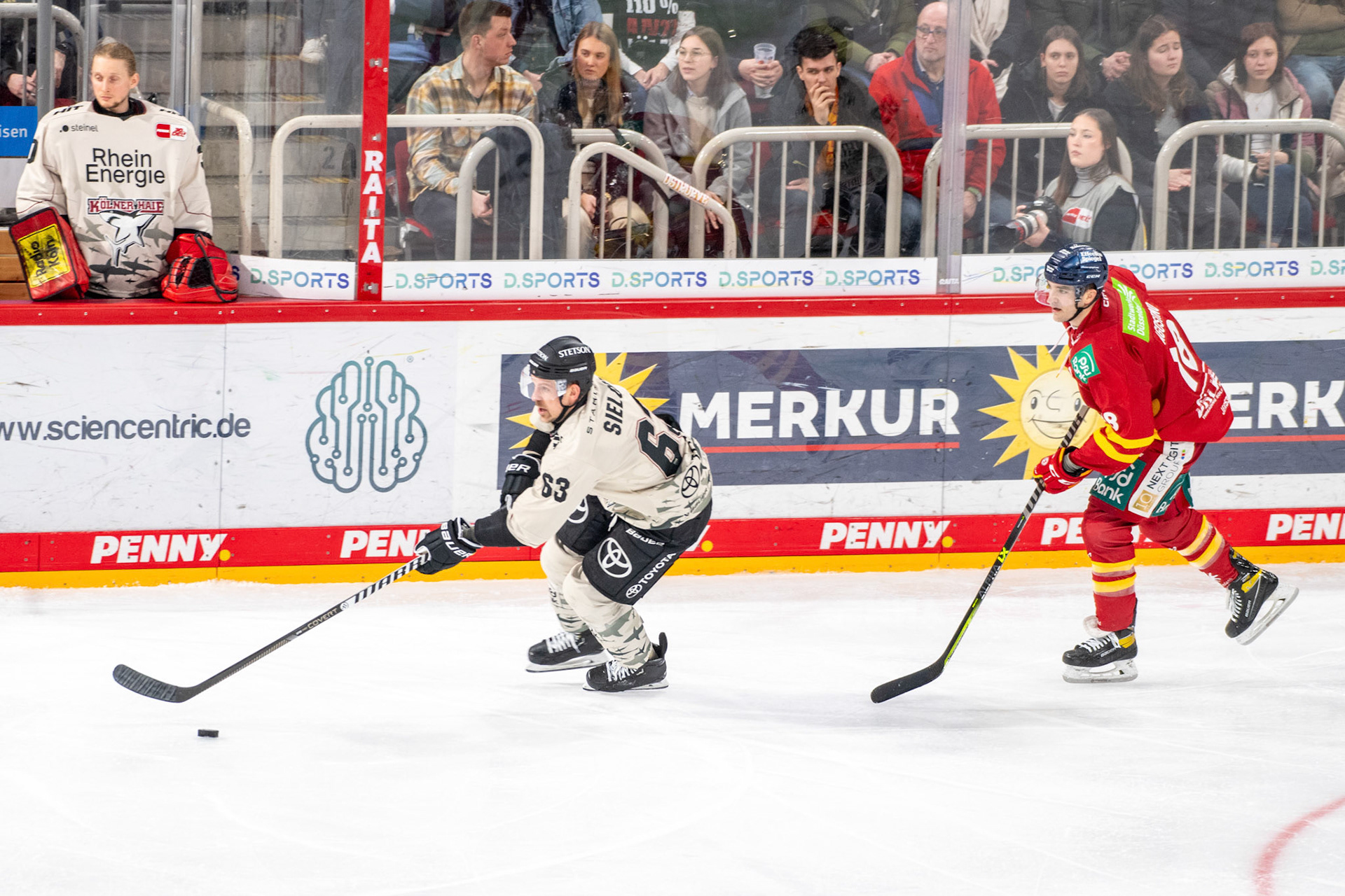 ; DEL Düsseldorfer EG - Kölner Haie, 25.02.2024