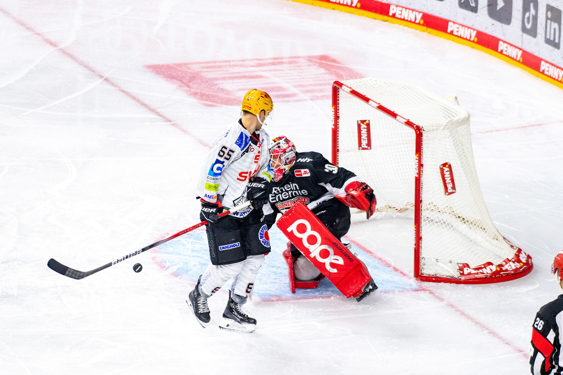 Christian Wejse; DEL Kölner Haie - Bremerhaven Fischtown Pinguins, 01.11.2023