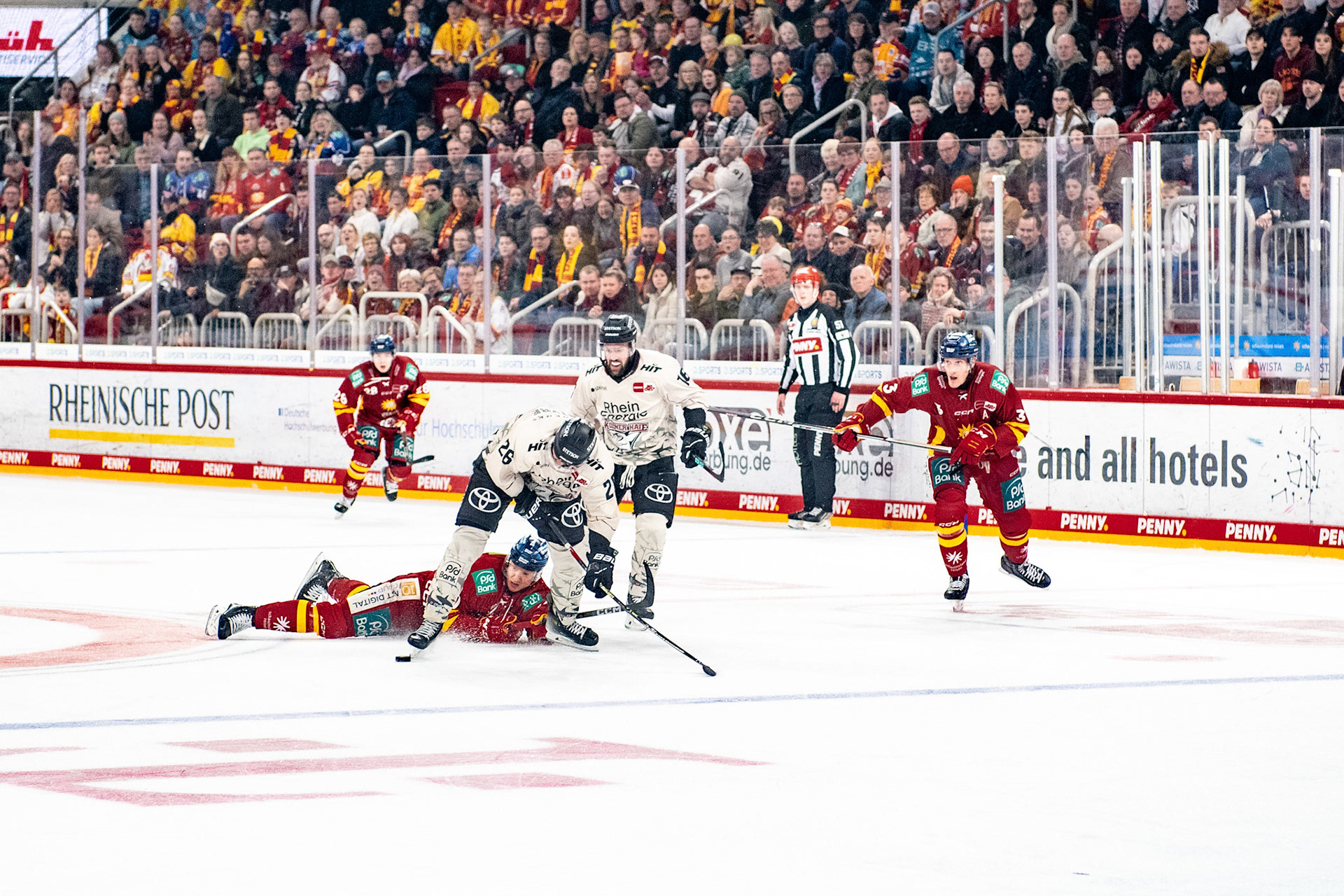 ; DEL Düsseldorfer EG - Kölner Haie, 25.02.2024
