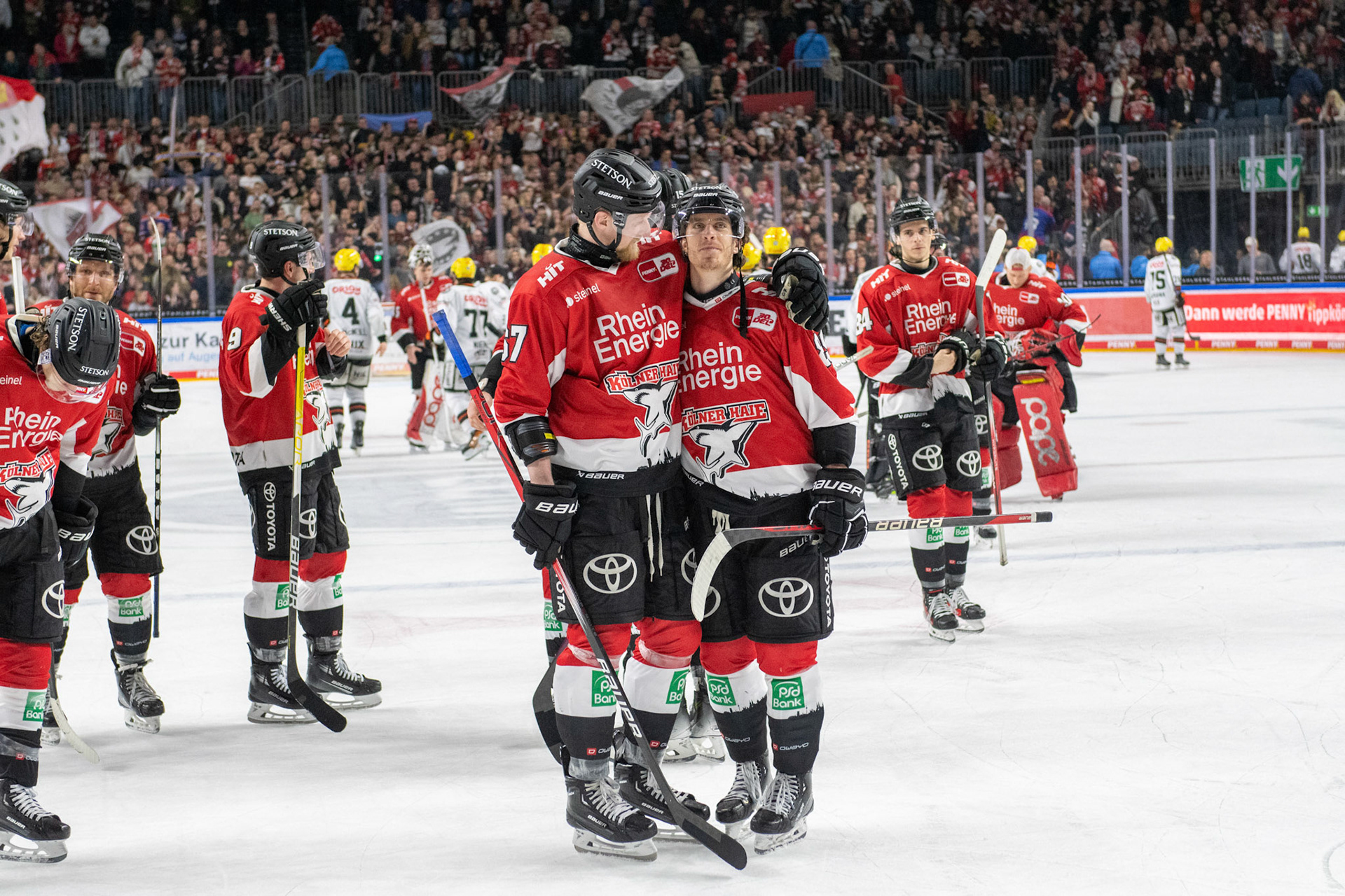 Stanislav Dietz feiert den Sieg über die Frankfurter Löwen zuammen mit Gregor Macleod; DEL Kölner Haie - Frankfurter Löwen, 16.02.2024