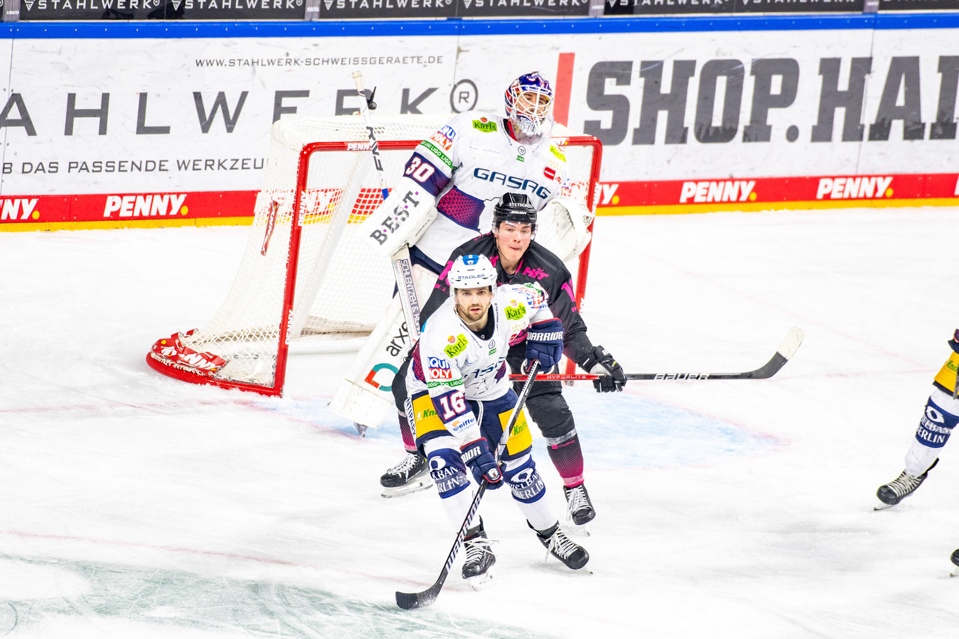 Ben Finkelstein; DEL Kölner Haie - Eisbaeren Berlin, 06.10.2023