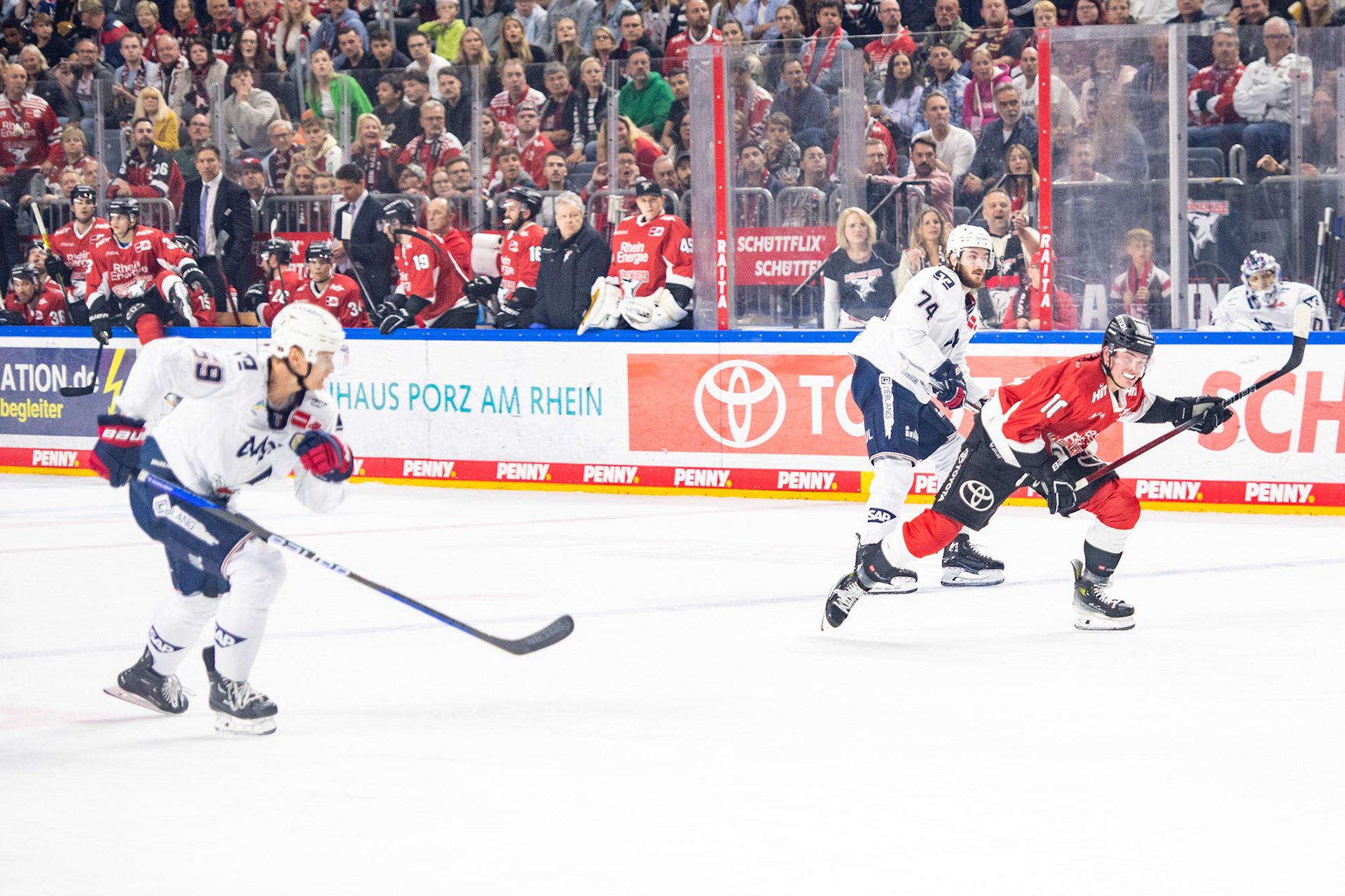 Justin Schuetz; DEL Kölner Haie - Adler Mannheim, 30.09.2023