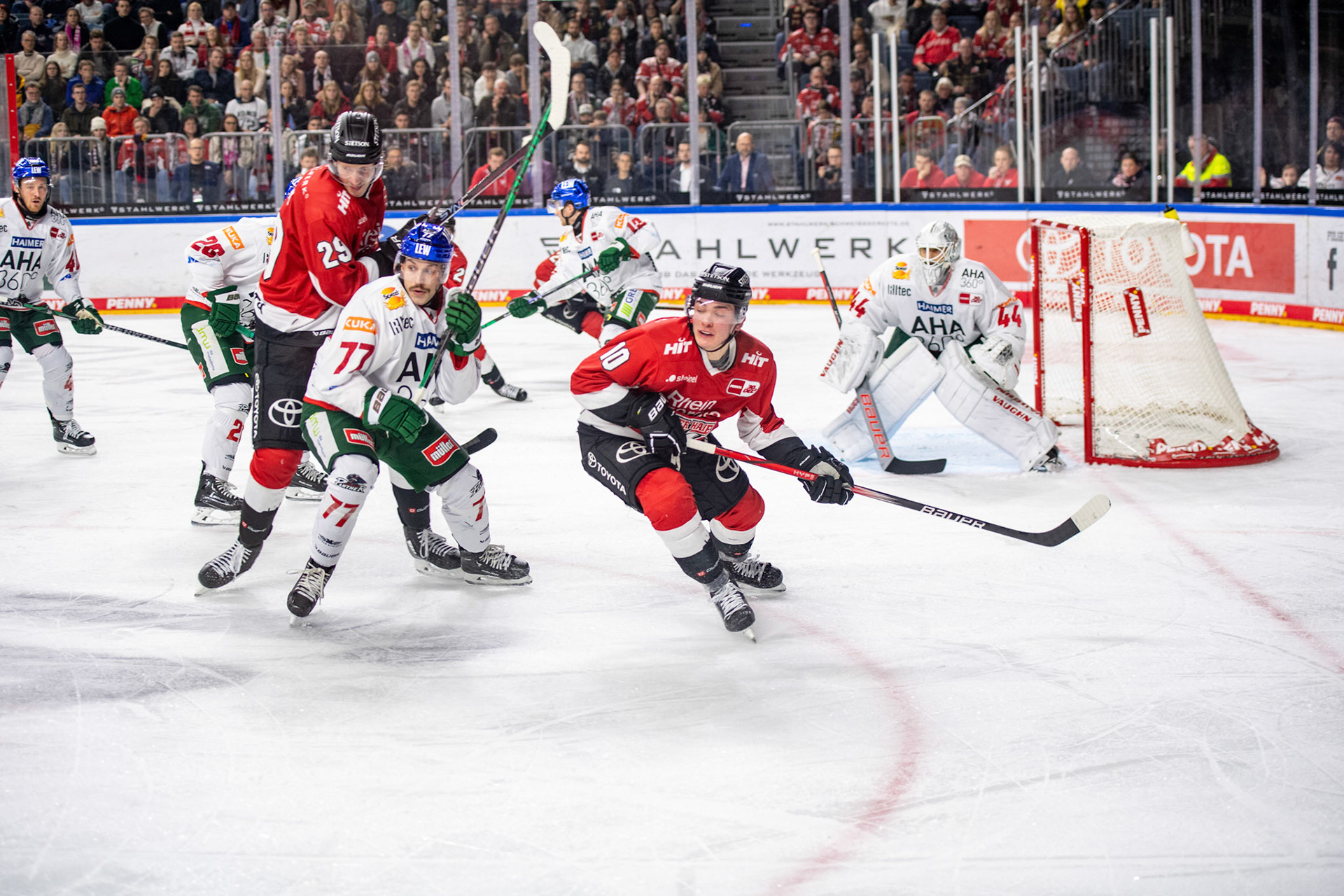 Justin Schuetz; DEL Kölner Haie - Augsburger Panther, 19.11.2023