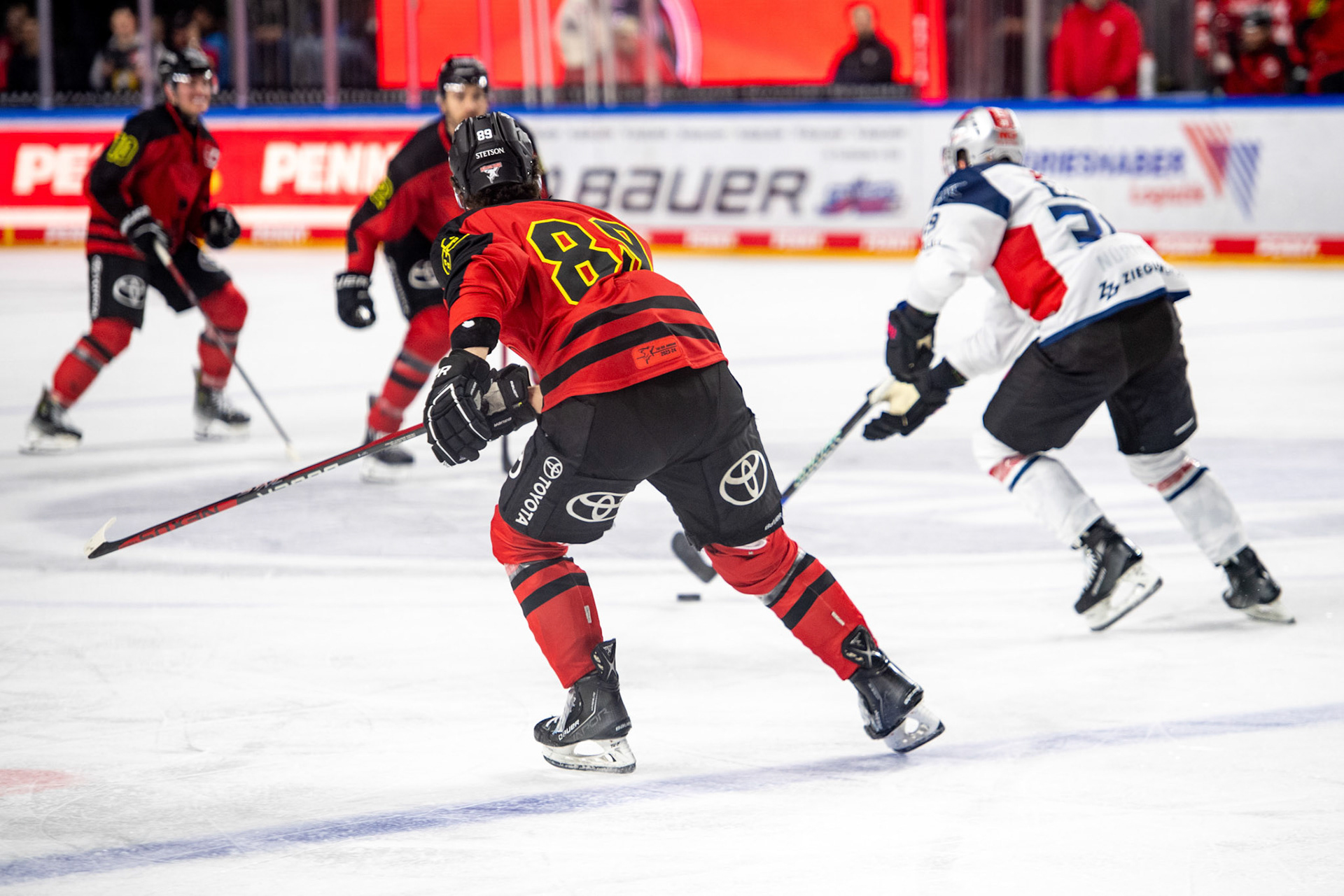 Gregor Macleod; DEL Kölner Haie - Nürnberg Ice Tigers, 17.12.2023