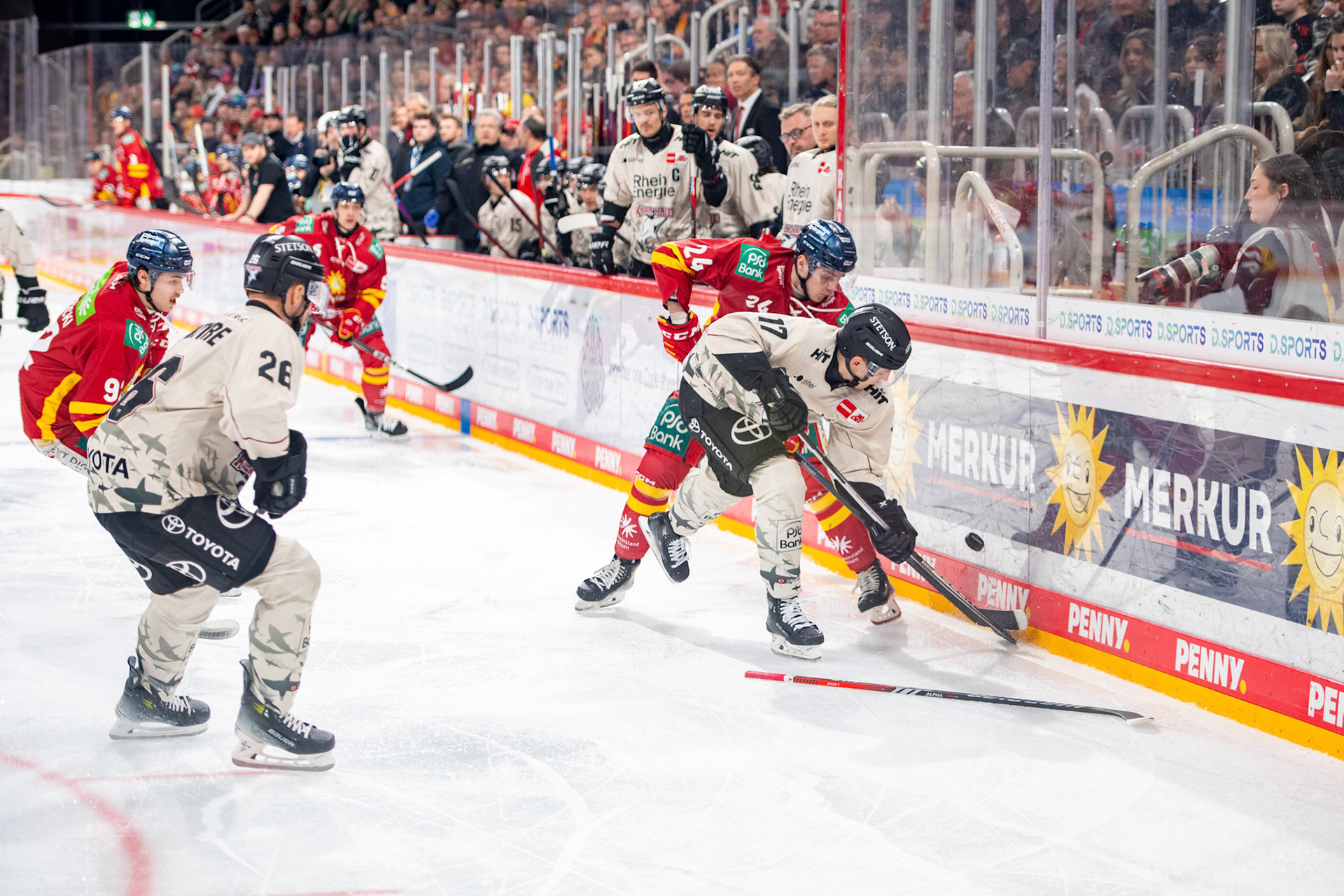 Jan Luca Sennhenn im Zweikampf mit Alexander Blank; DEL Düsseldorfer EG - Kölner Haie, 25.02.2024